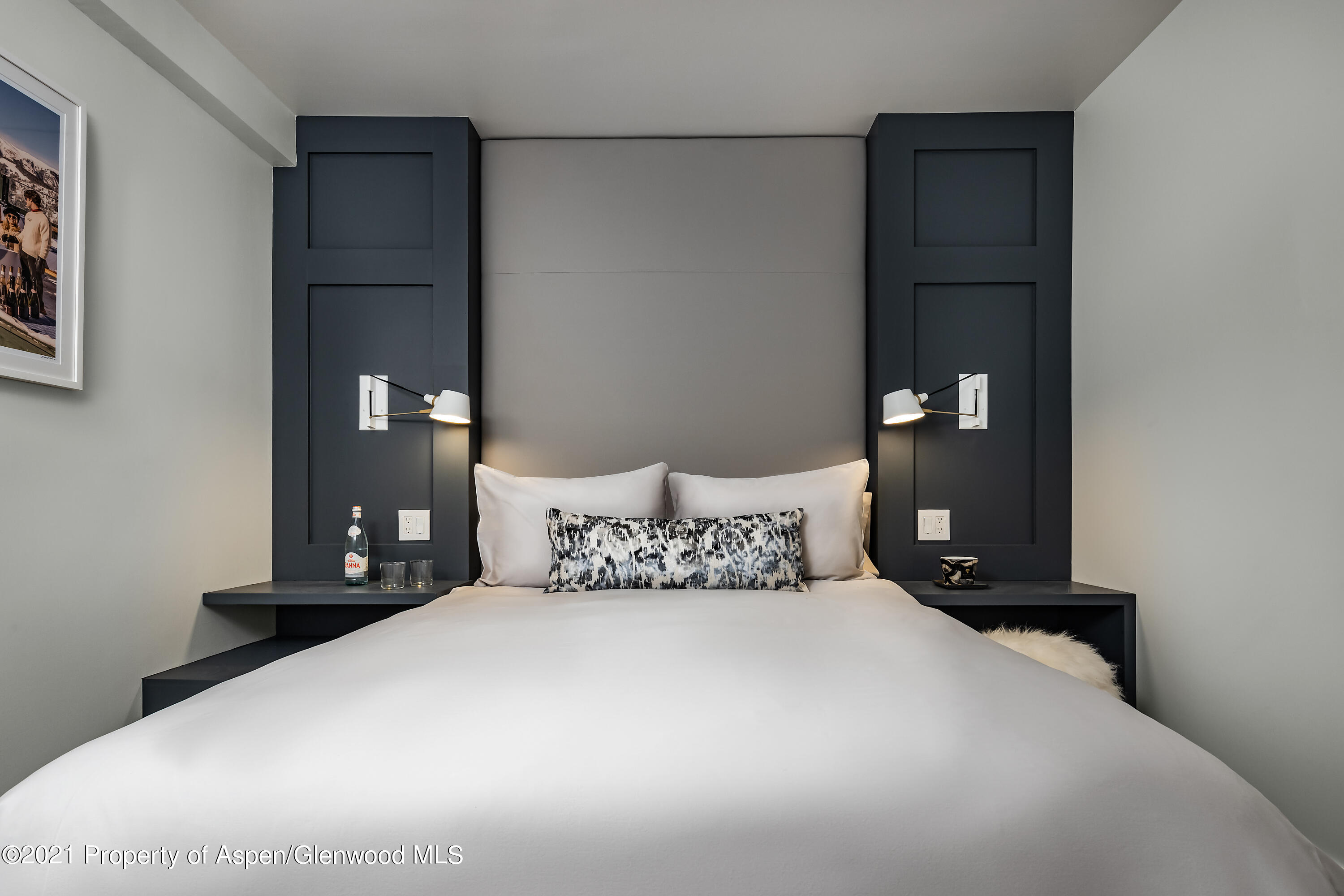 704 E Hyman Avenue Aspen CO 81611