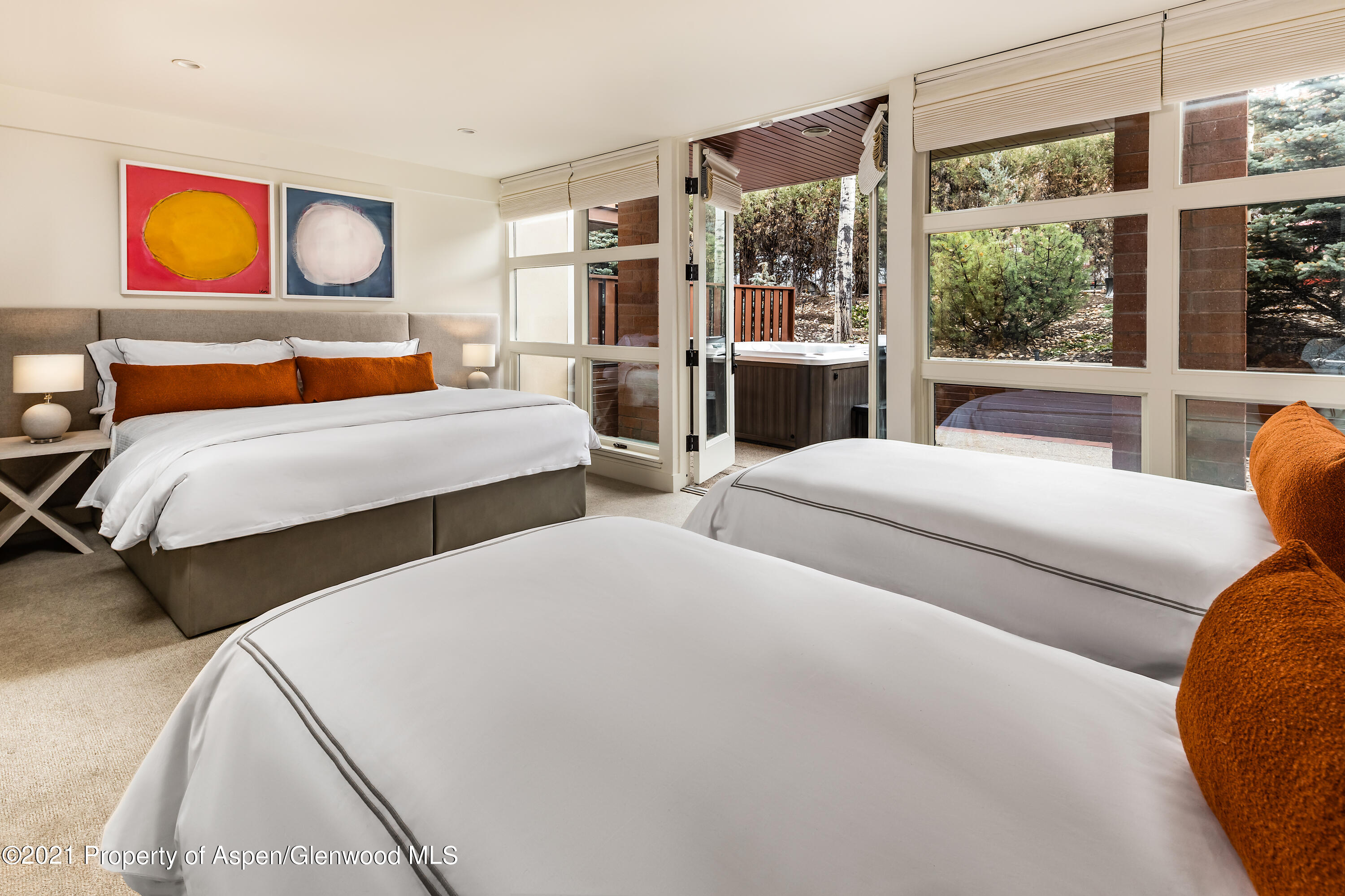 704 E Hyman Avenue Aspen CO 81611