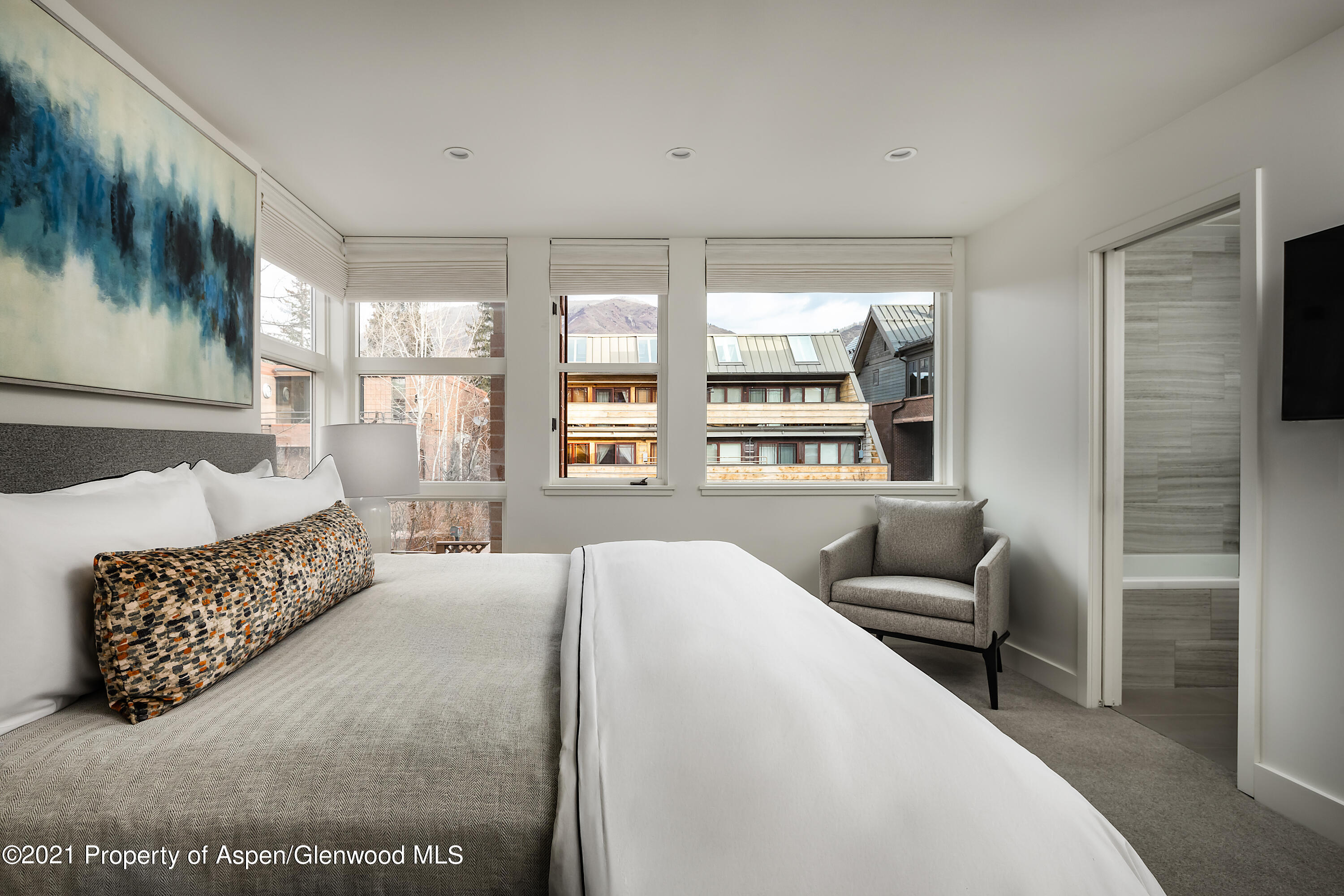 704 E Hyman Avenue Aspen CO 81611