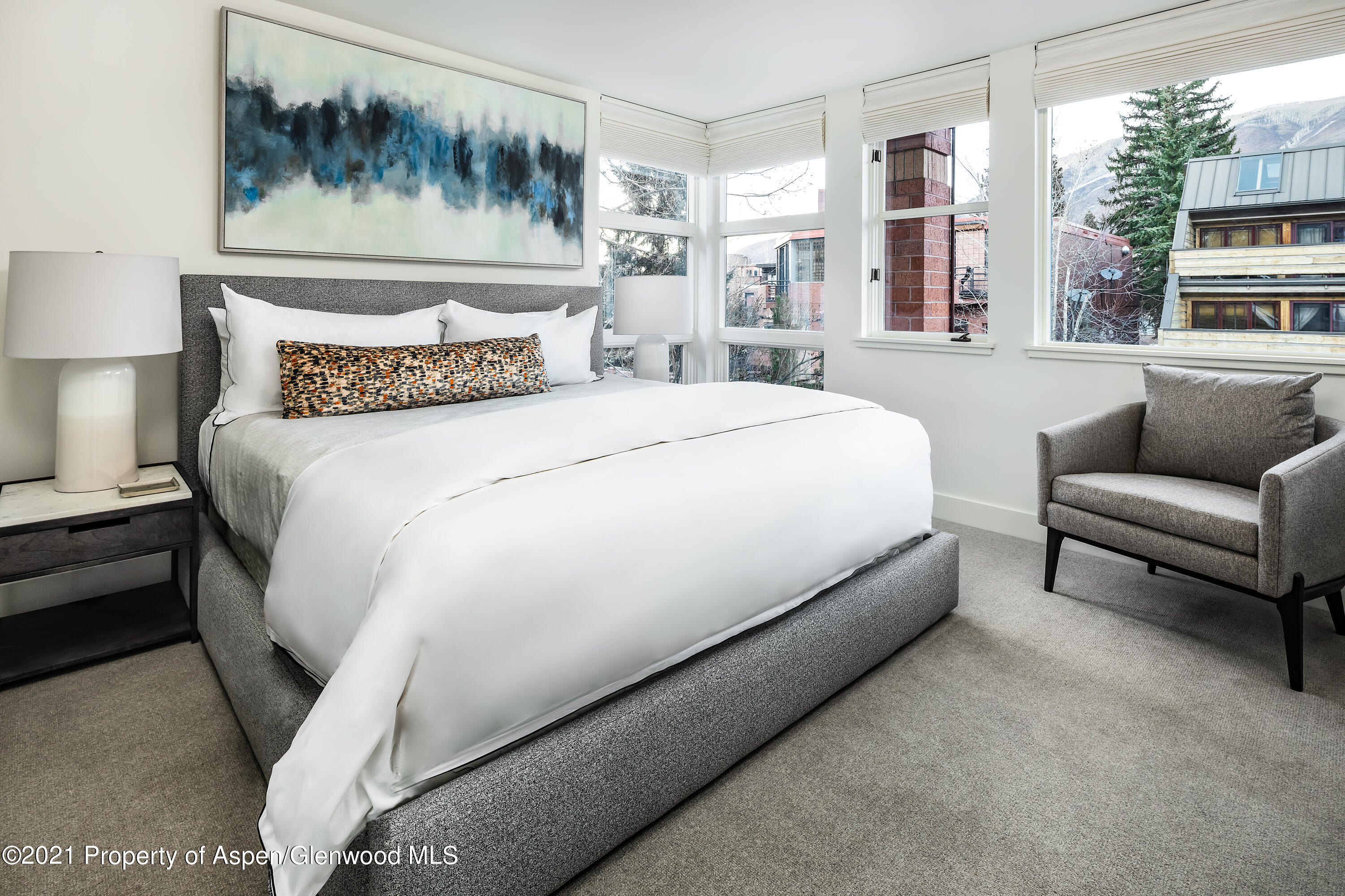 704 E Hyman Avenue Aspen CO 81611