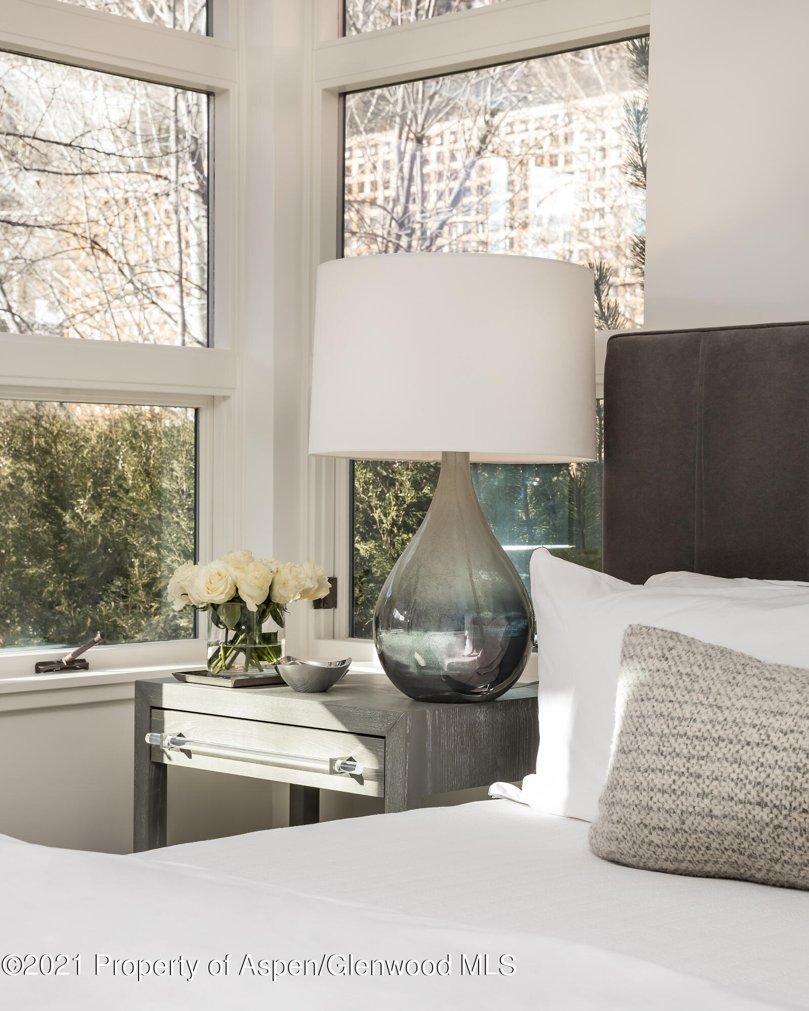 704 E Hyman Avenue Aspen CO 81611