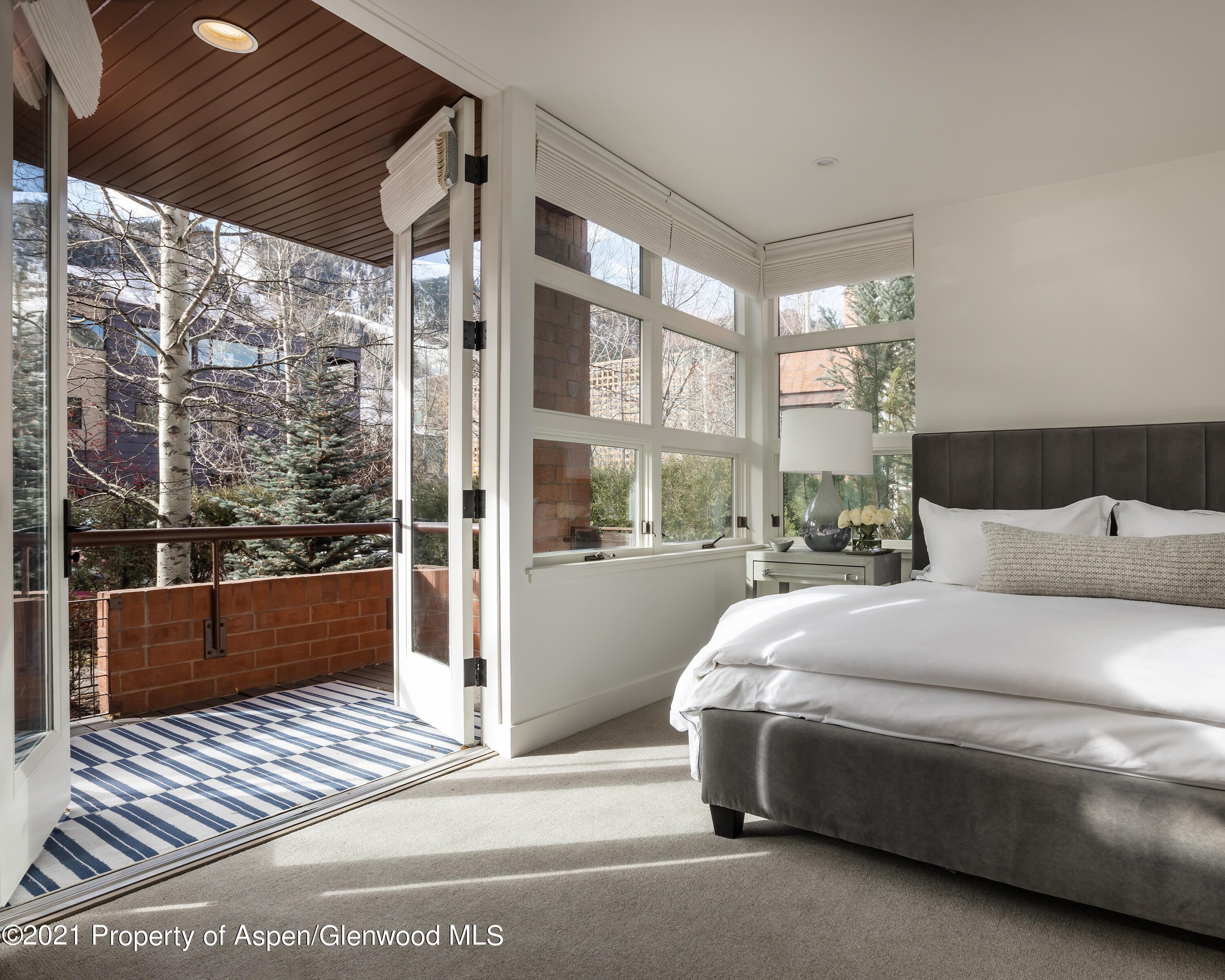 704 E Hyman Avenue Aspen CO 81611