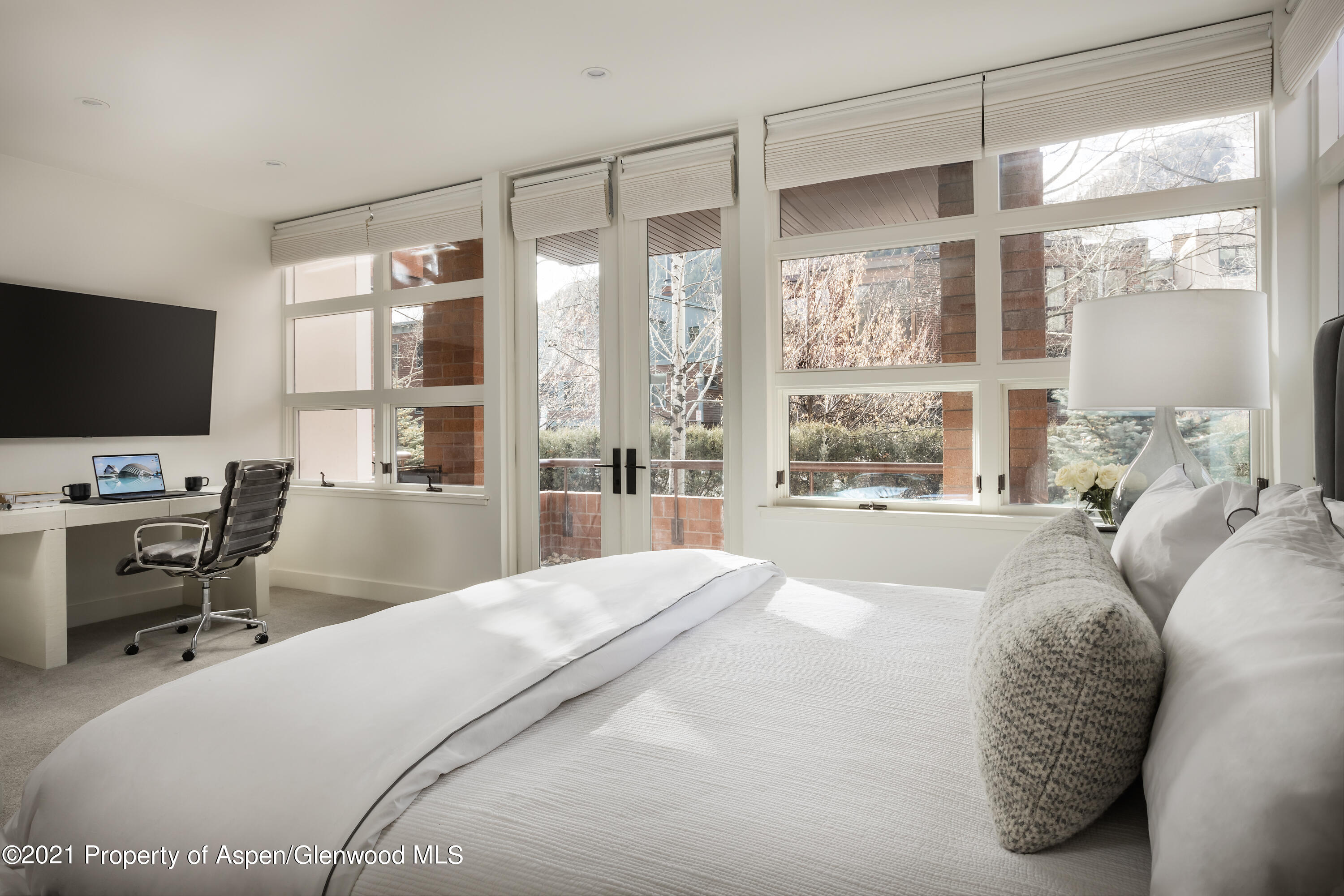 704 E Hyman Avenue Aspen CO 81611