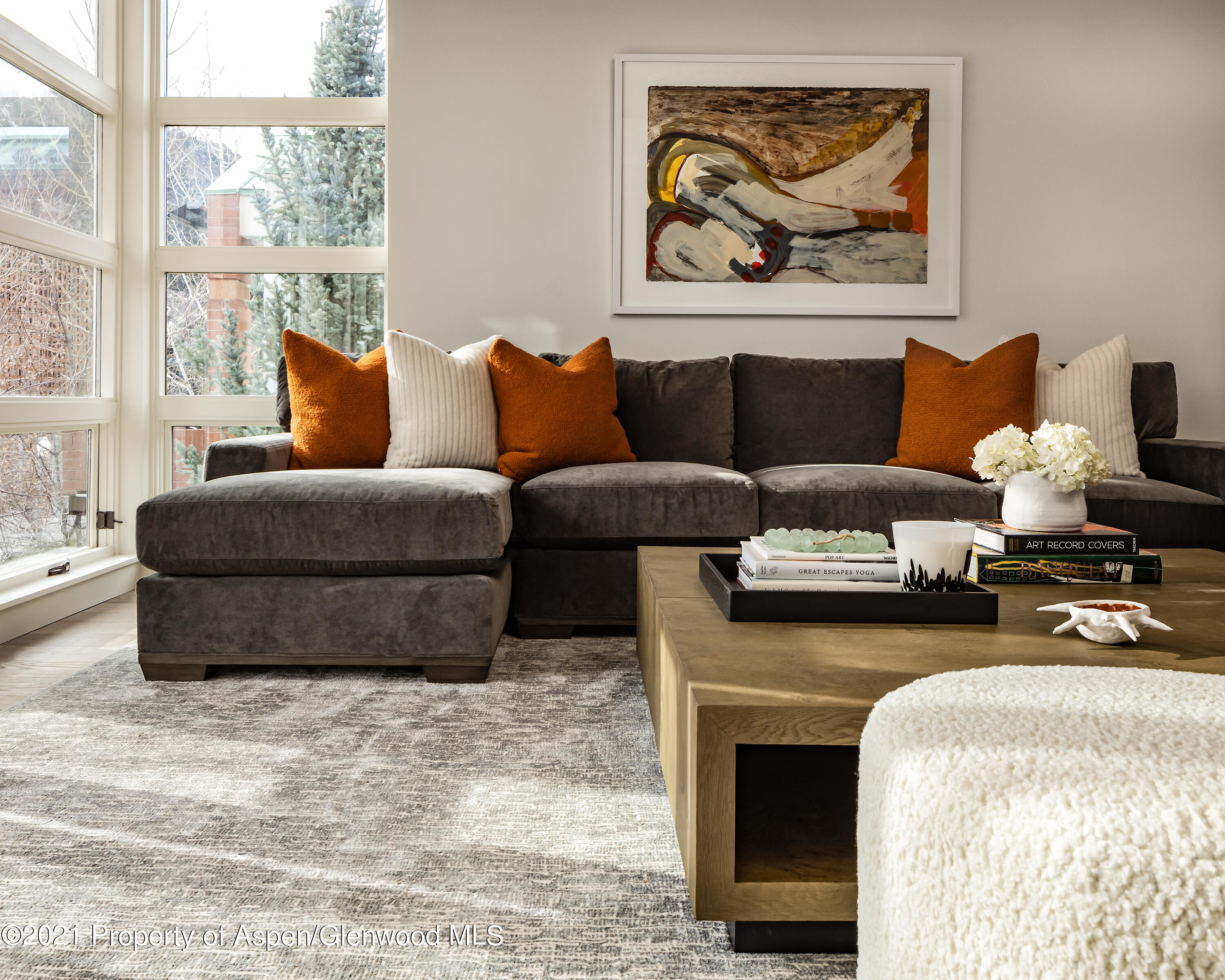 704 E Hyman Avenue Aspen CO 81611