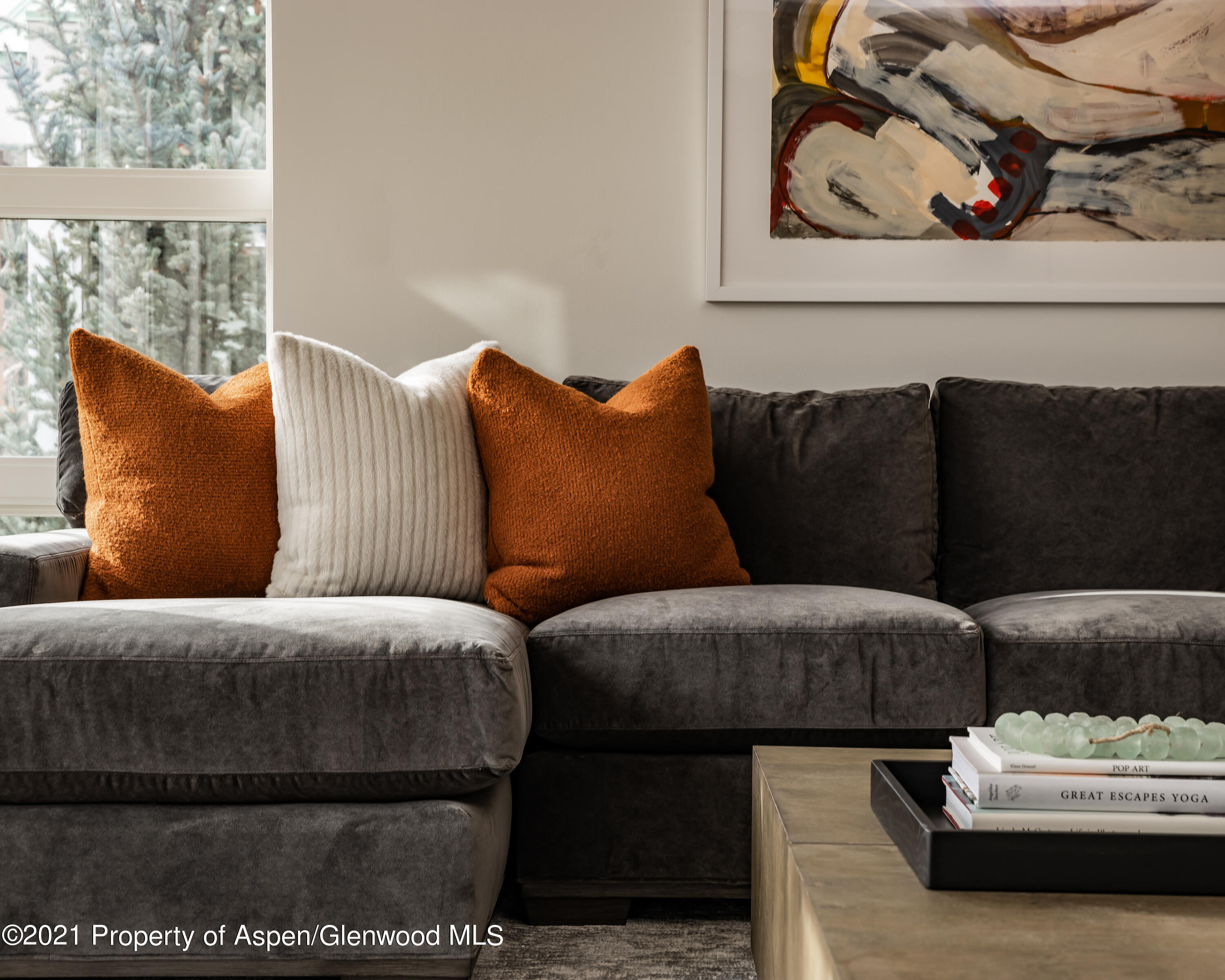 704 E Hyman Avenue Aspen CO 81611