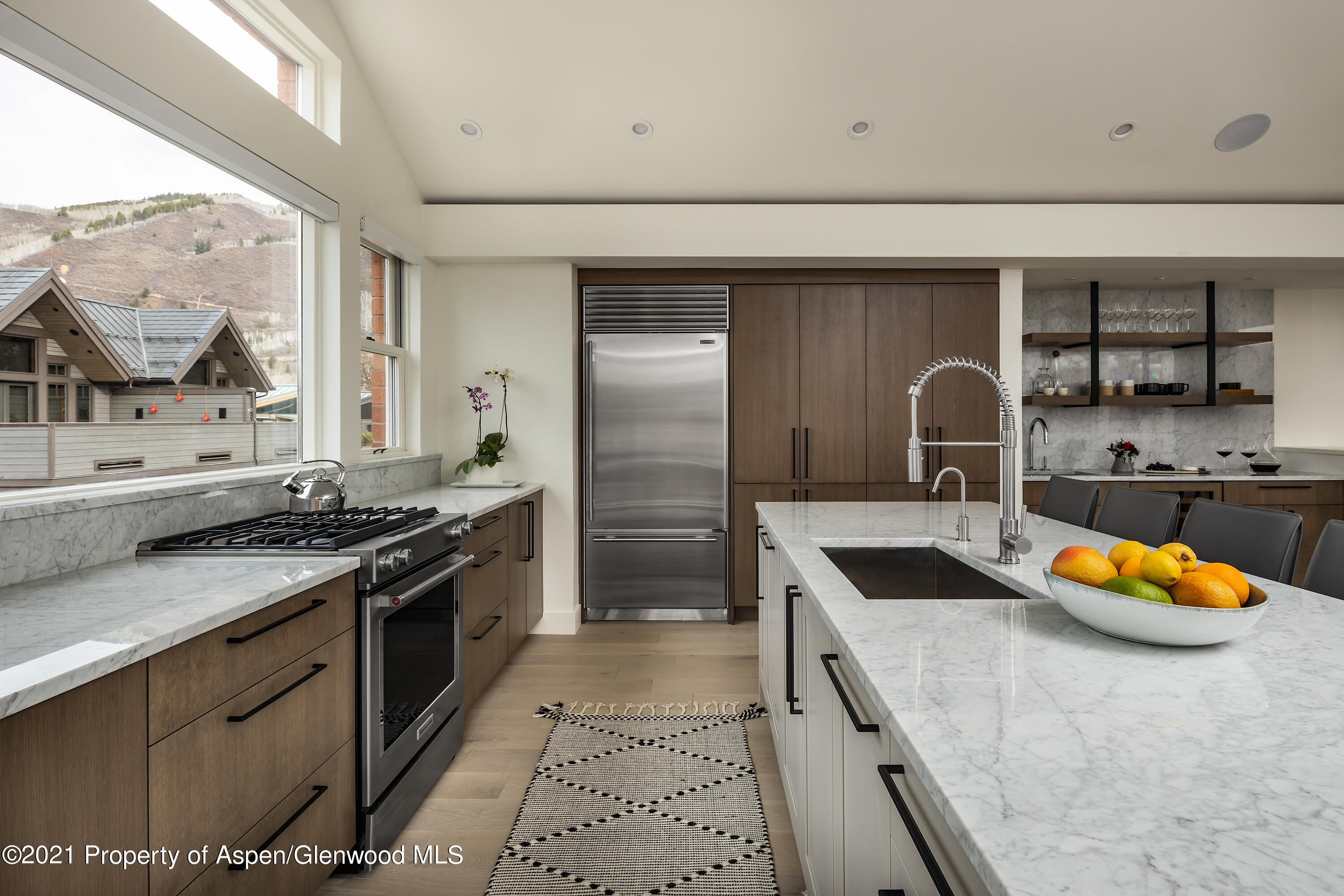 704 E Hyman Avenue Aspen CO 81611