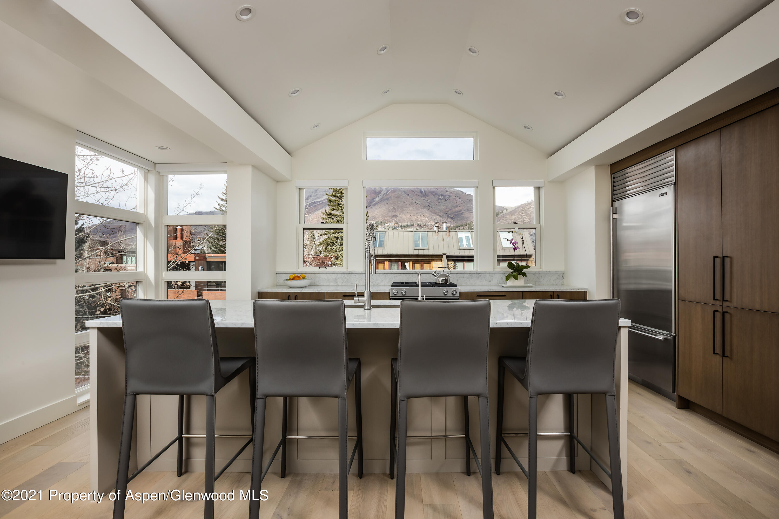 704 E Hyman Avenue Aspen CO 81611