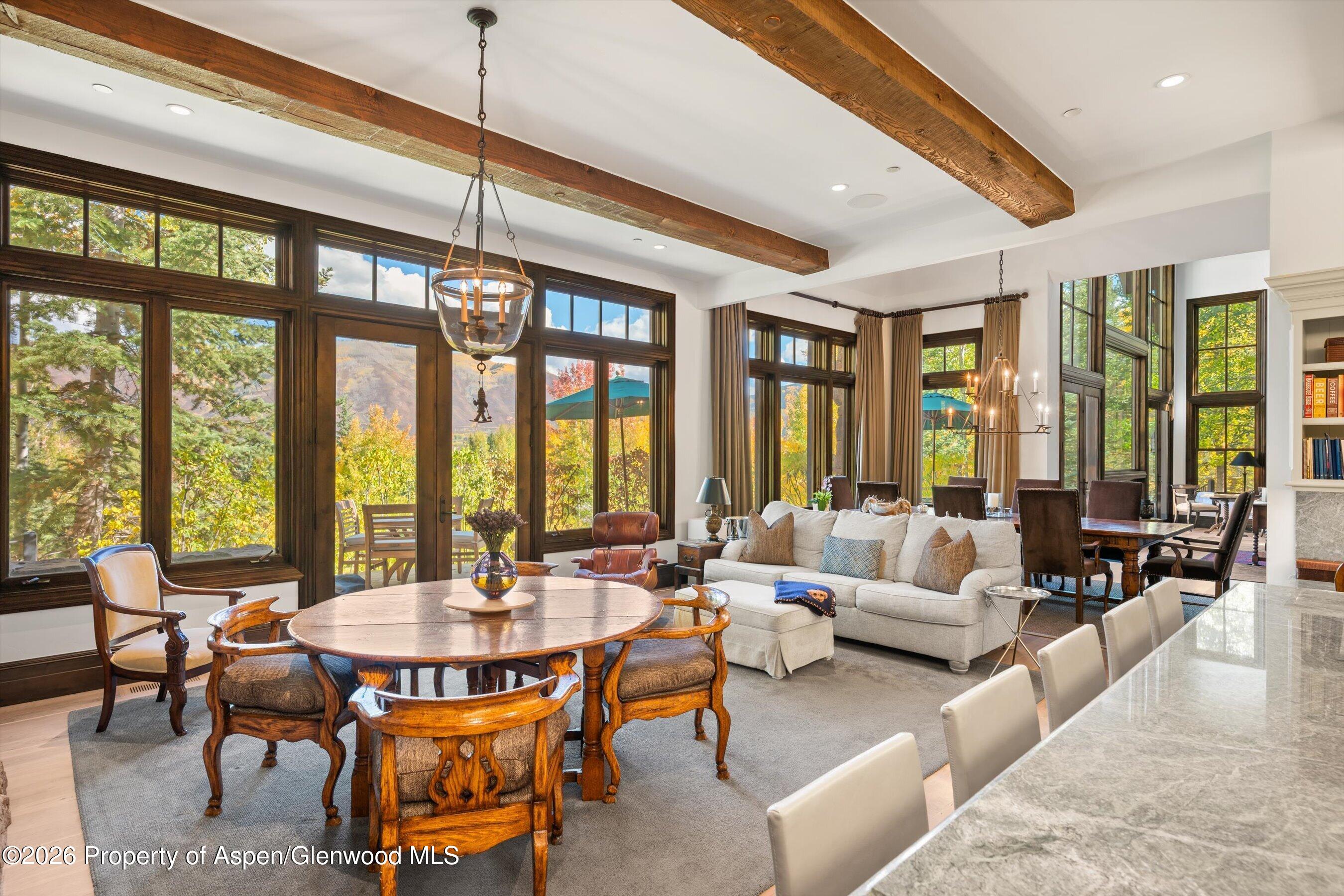 353 Pfister Drive Aspen CO 81611
