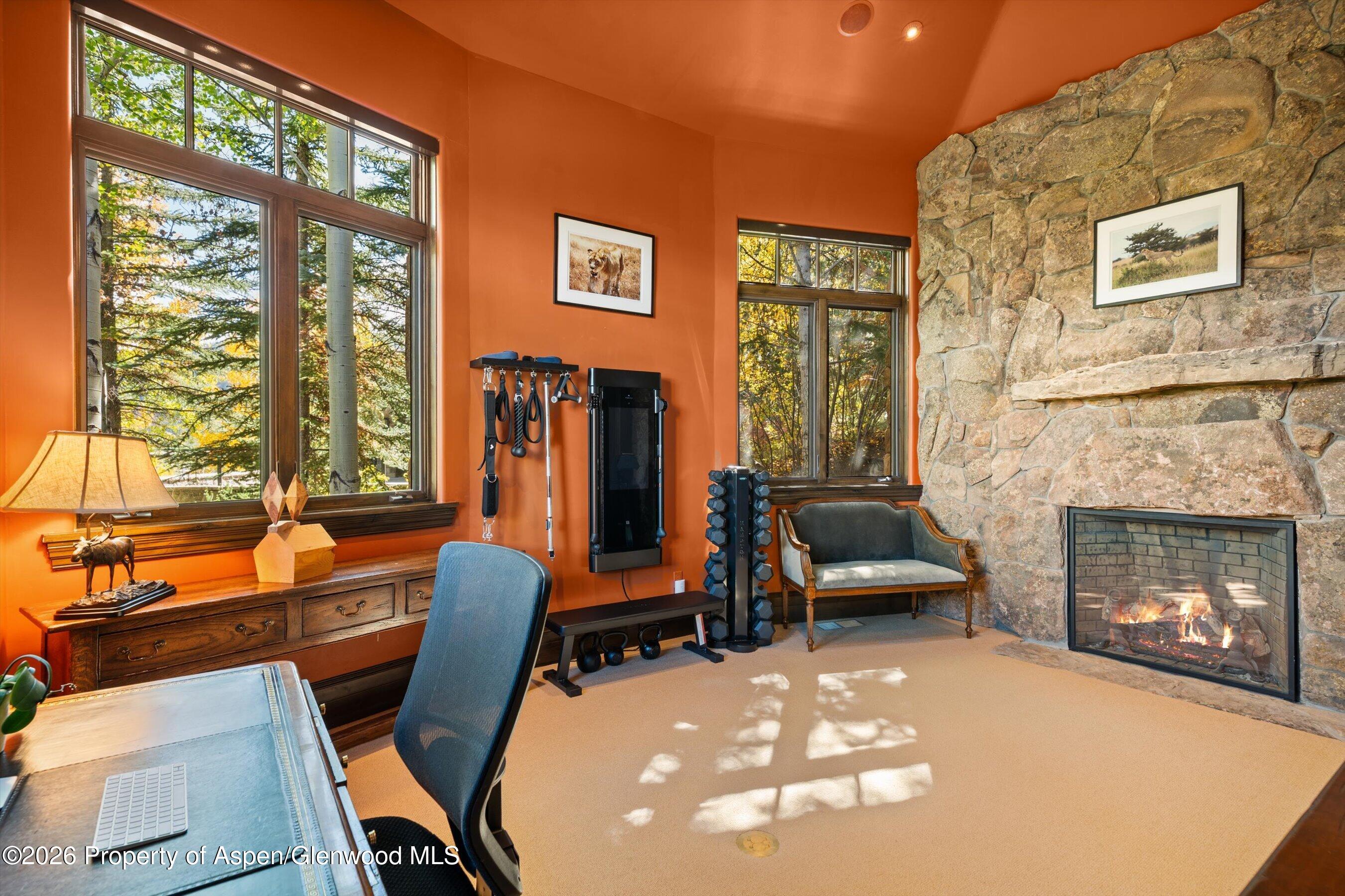 353 Pfister Drive Aspen CO 81611