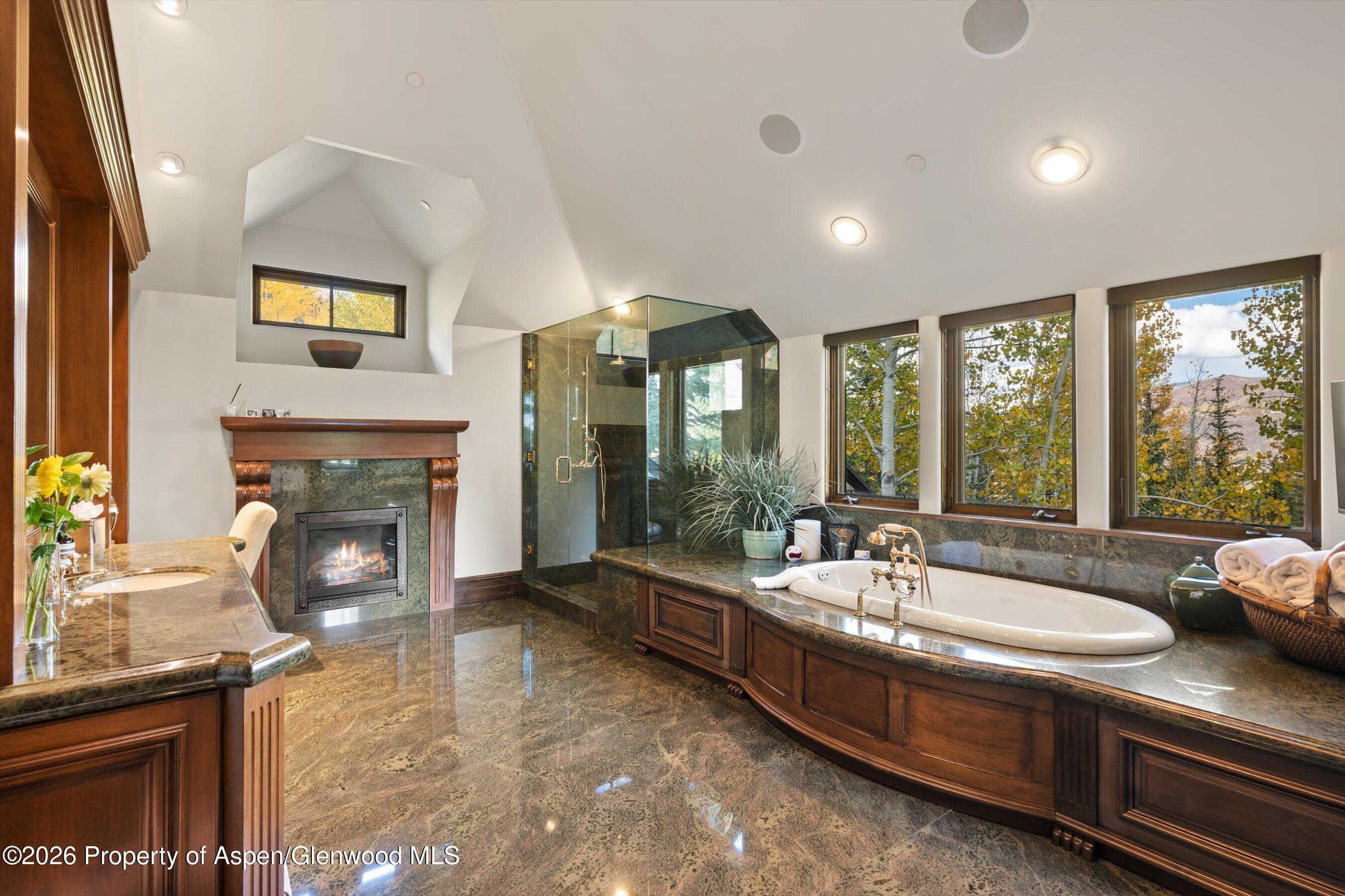 353 Pfister Drive Aspen CO 81611