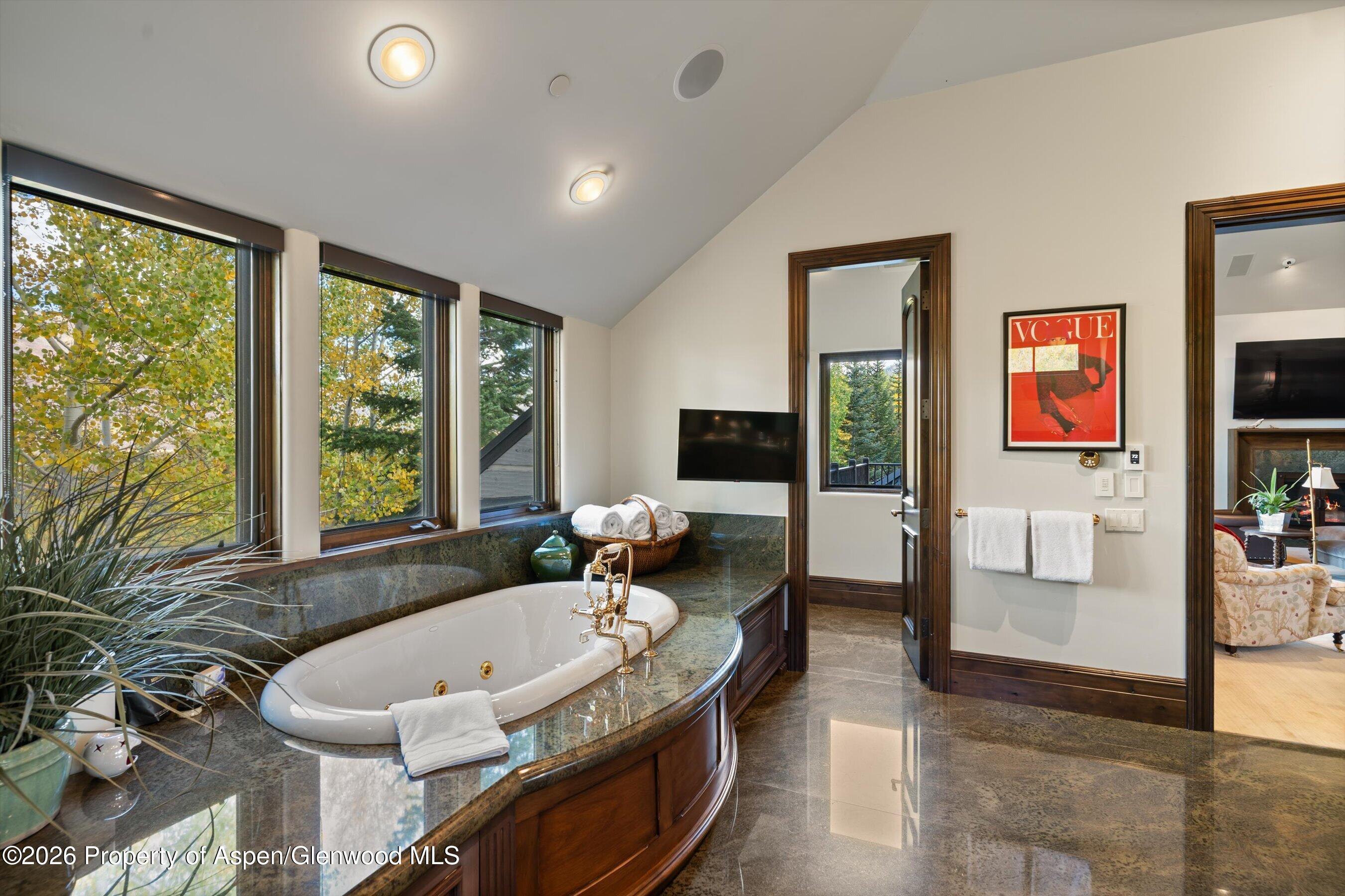353 Pfister Drive Aspen CO 81611