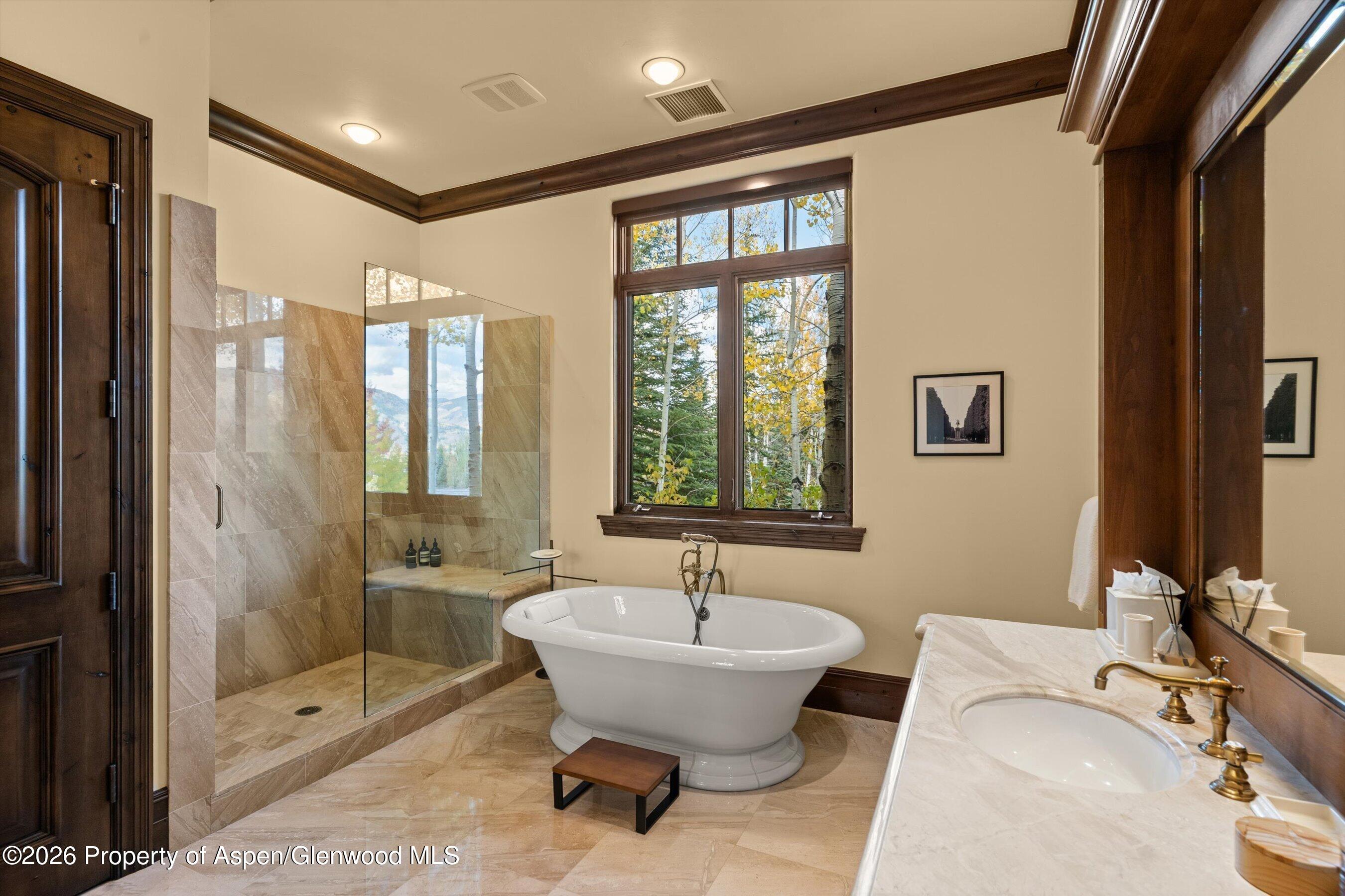 353 Pfister Drive Aspen CO 81611