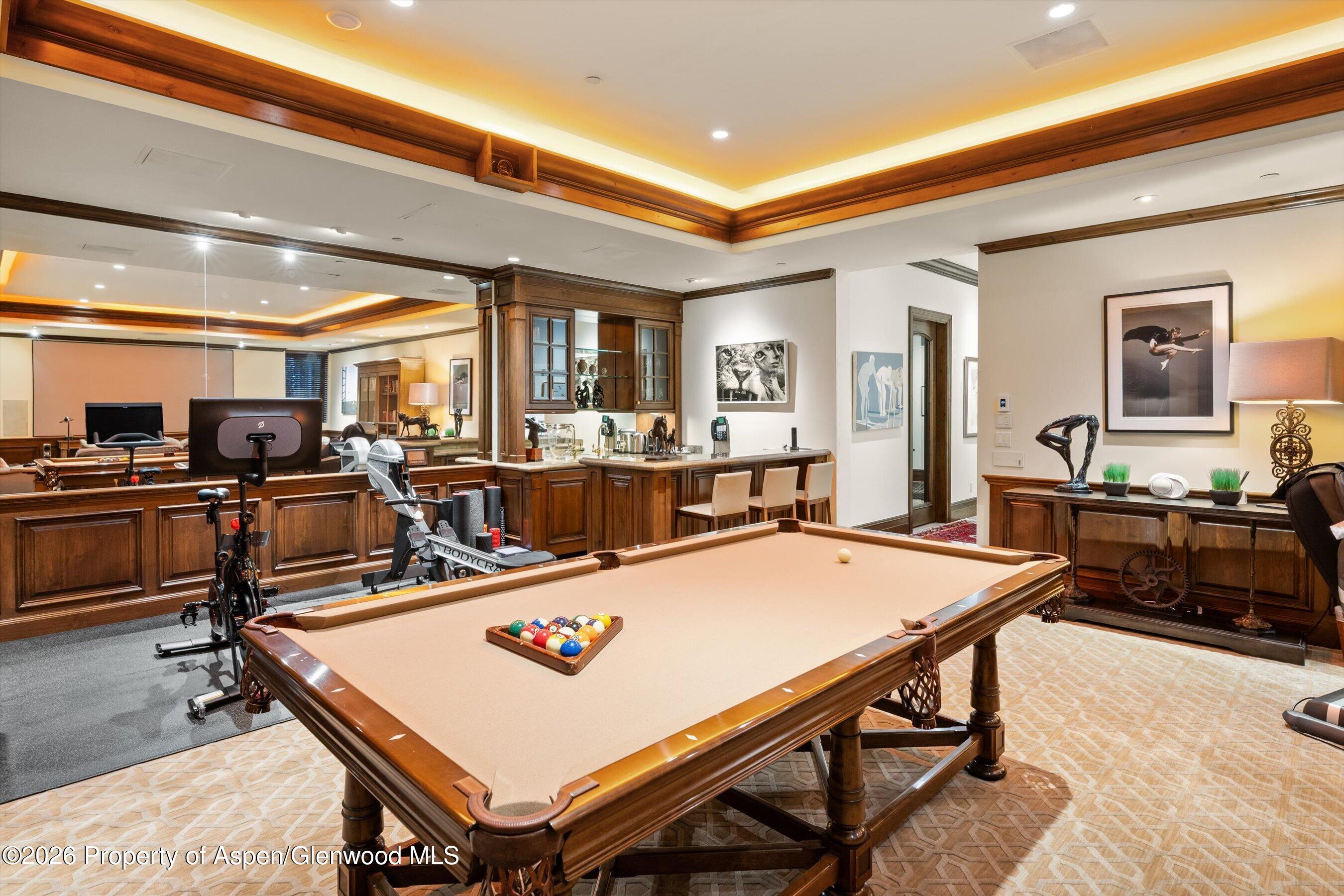 353 Pfister Drive Aspen CO 81611