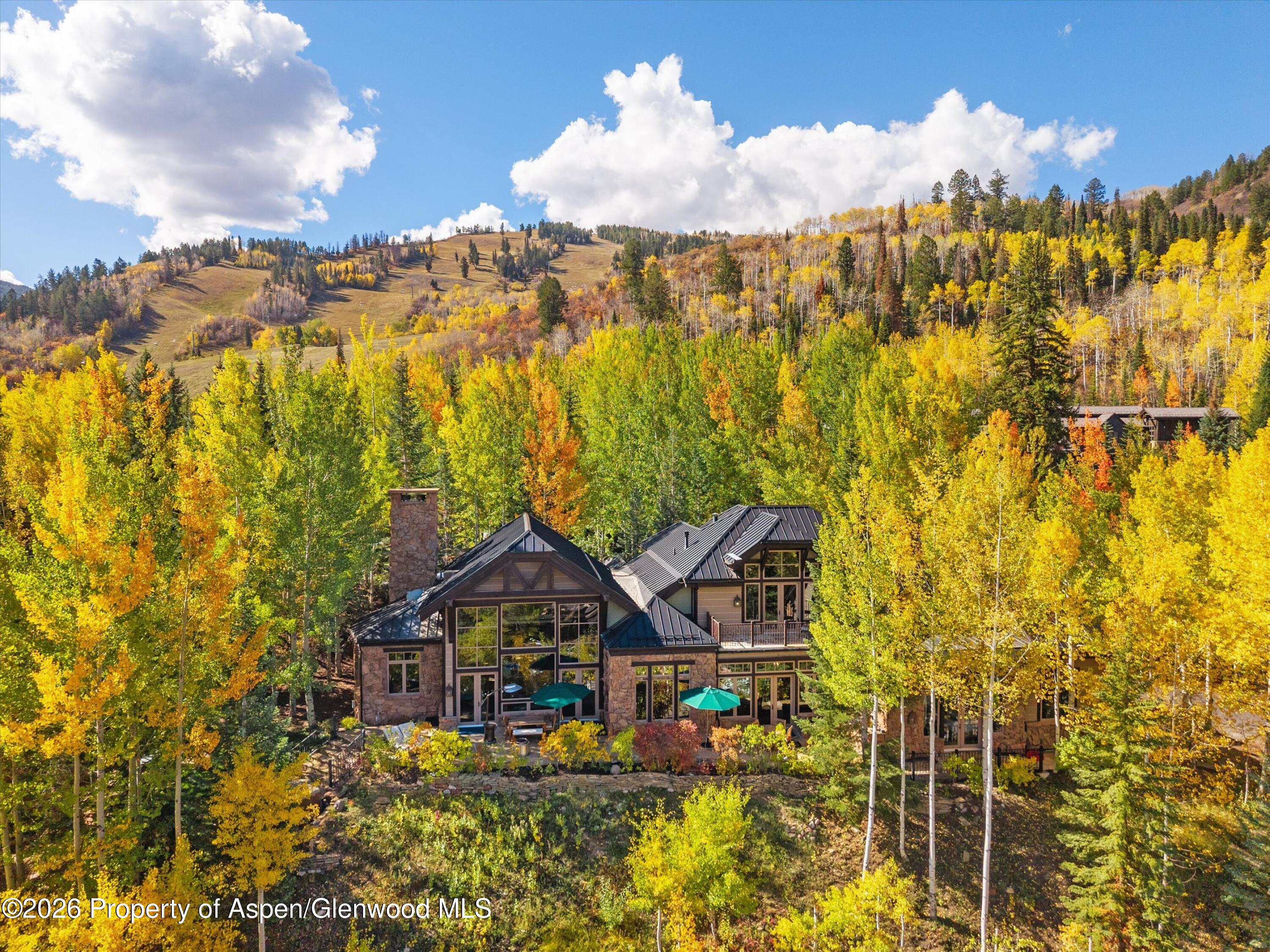 353 Pfister Drive Aspen CO 81611