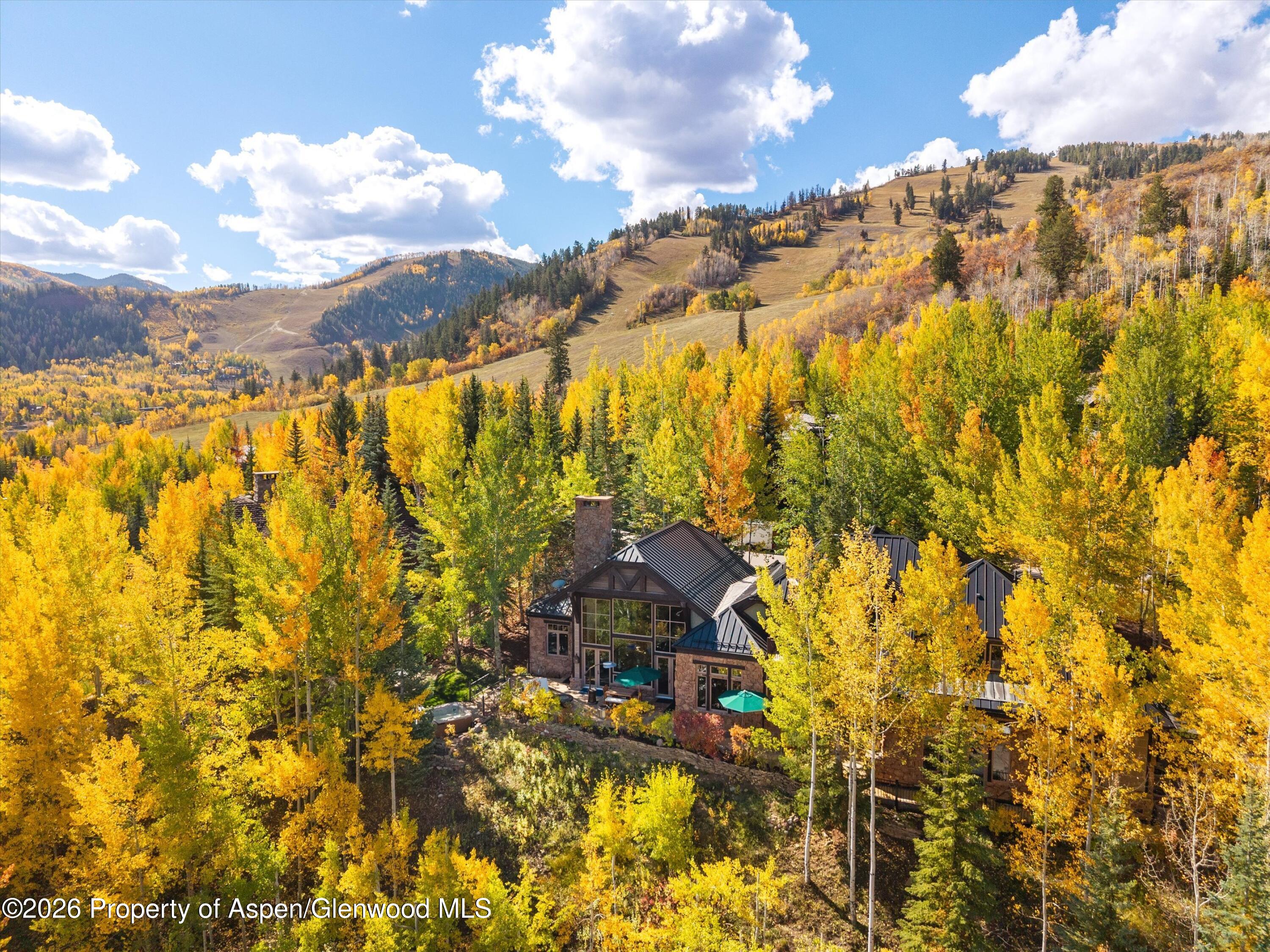 353 Pfister Drive Aspen CO 81611
