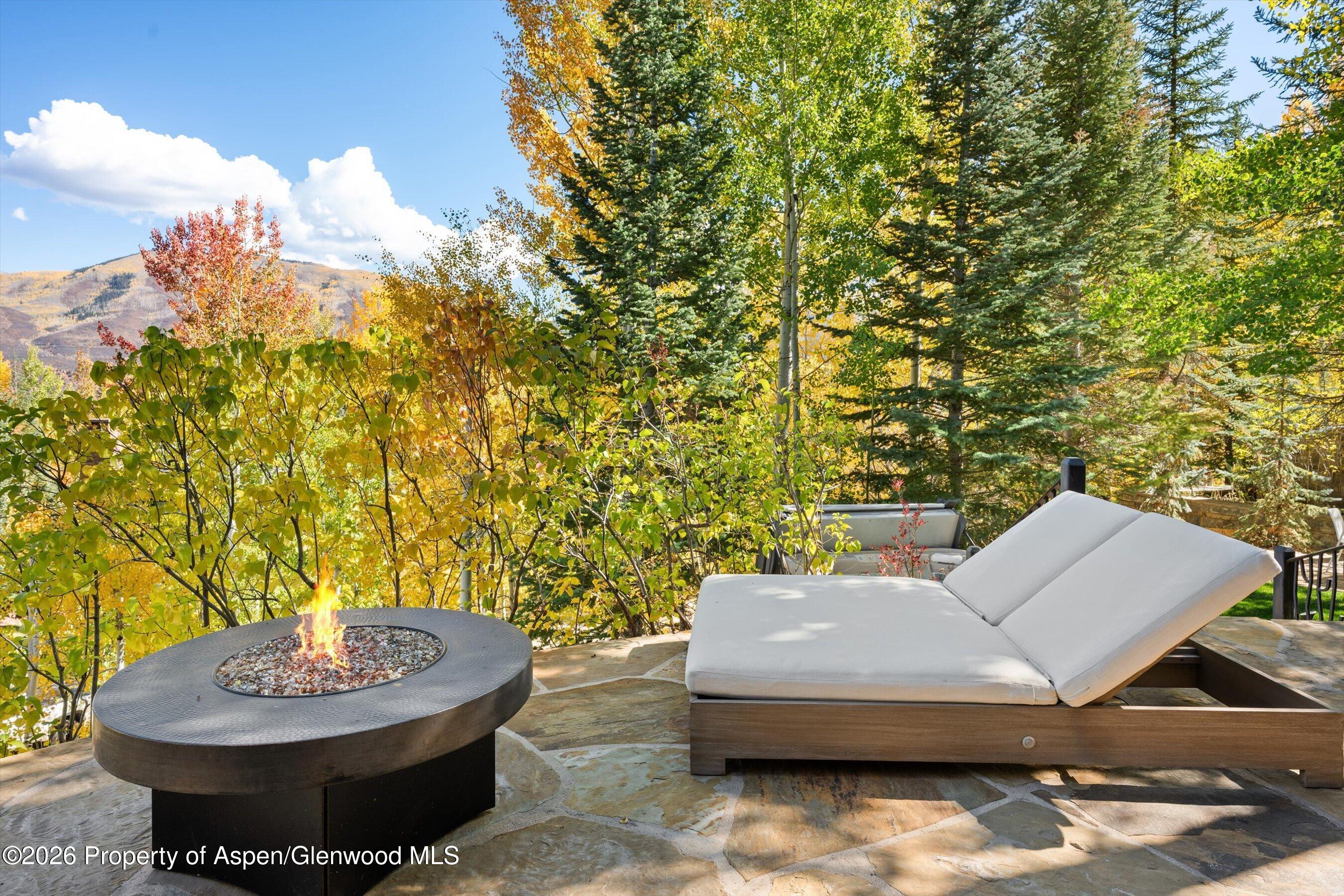 353 Pfister Drive Aspen CO 81611