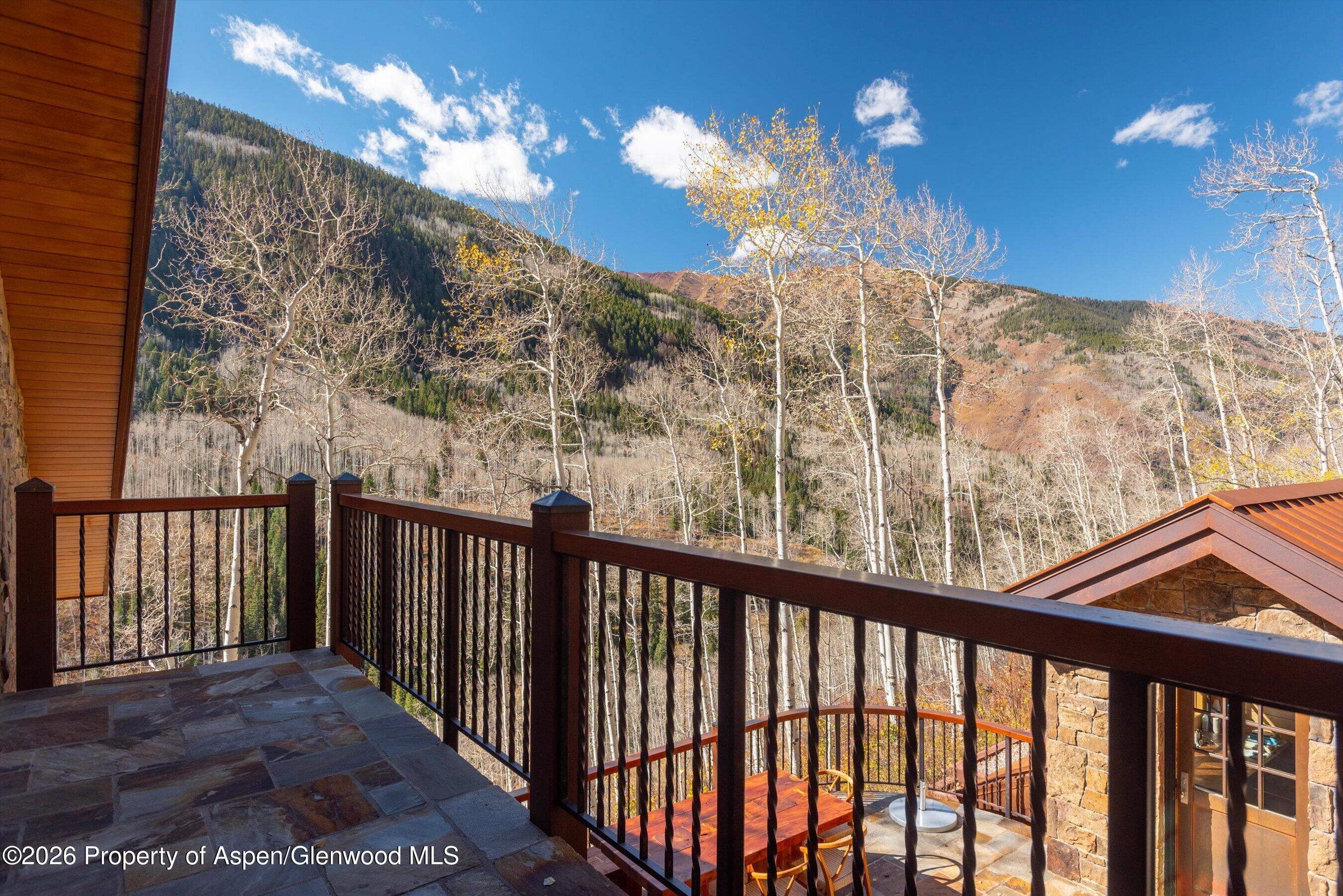 6770 Castle Creek Road Aspen CO 81611