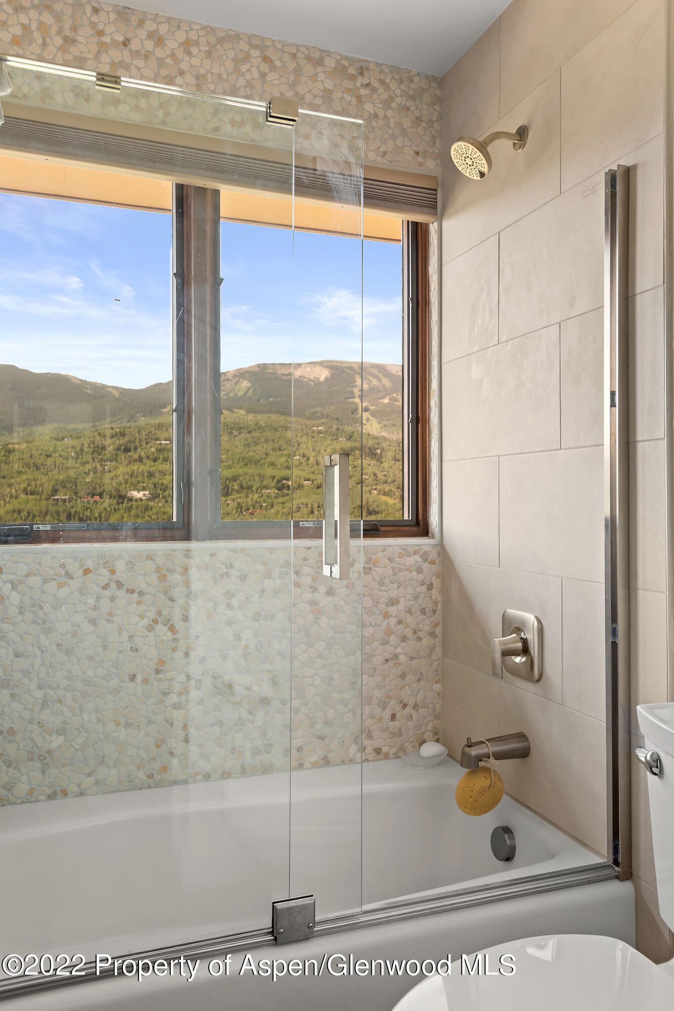 21 Lemond Circle Snowmass Village CO 81615