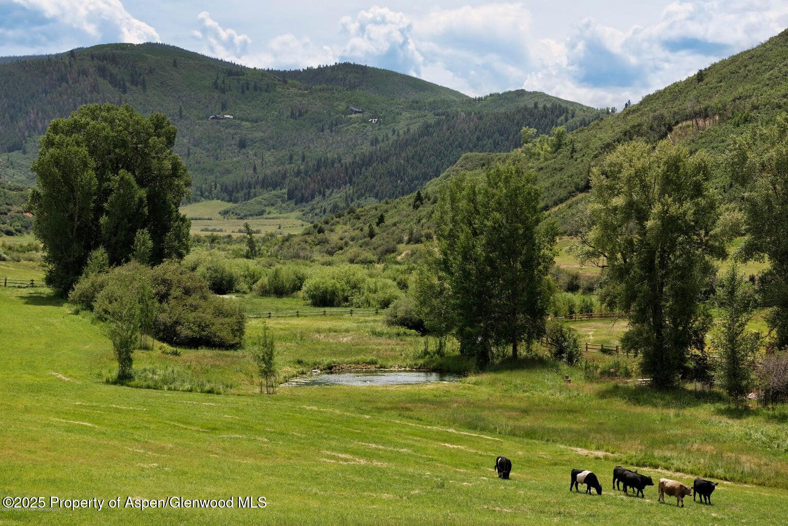 1814 Woody Creek Road Woody Creek CO 81656