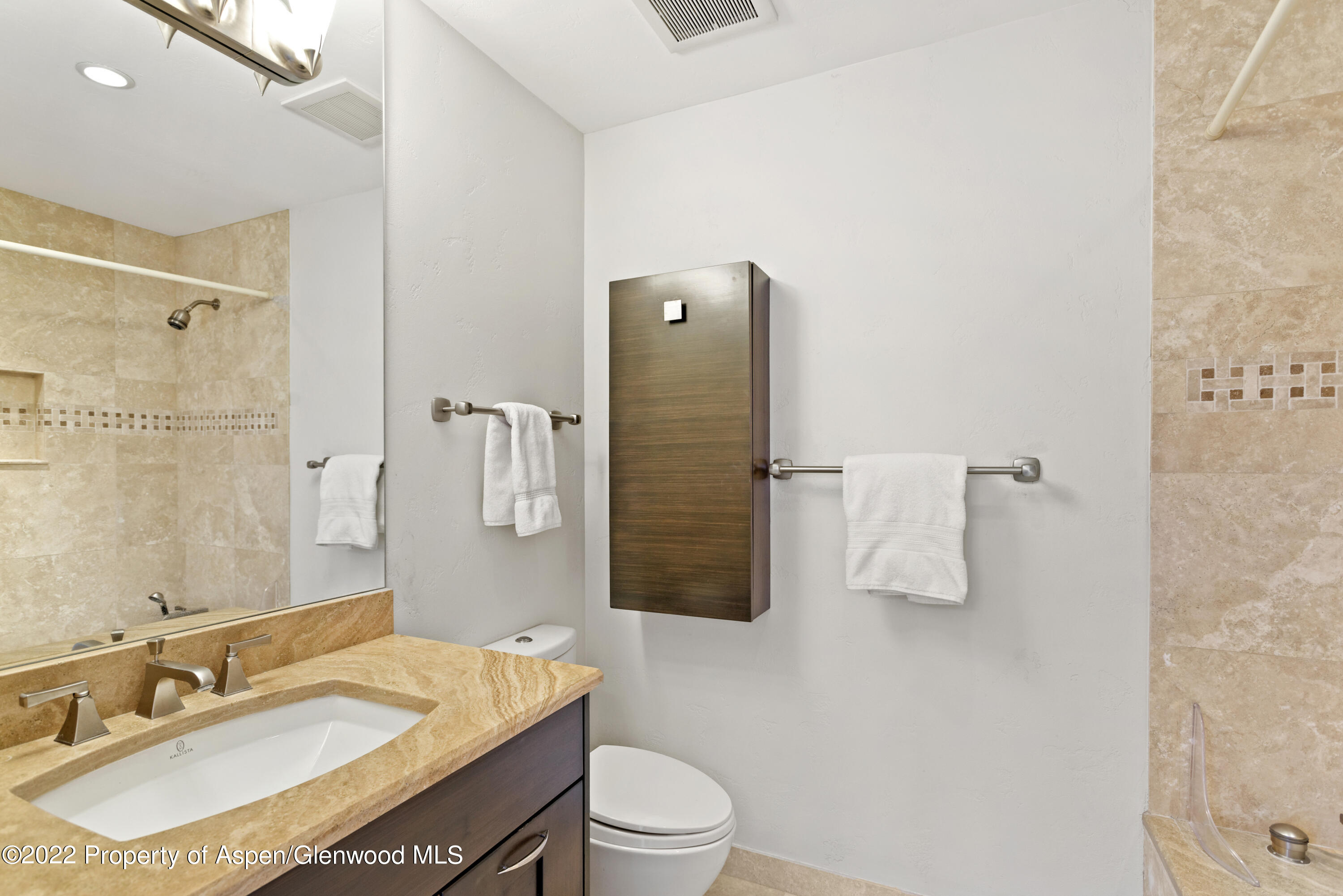 100 N 8th Street Aspen CO 81611