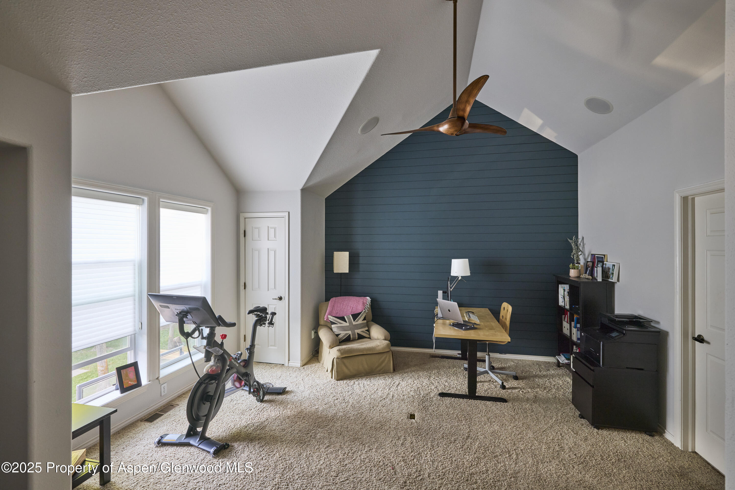 38 Ferguson Drive Carbondale CO 81623