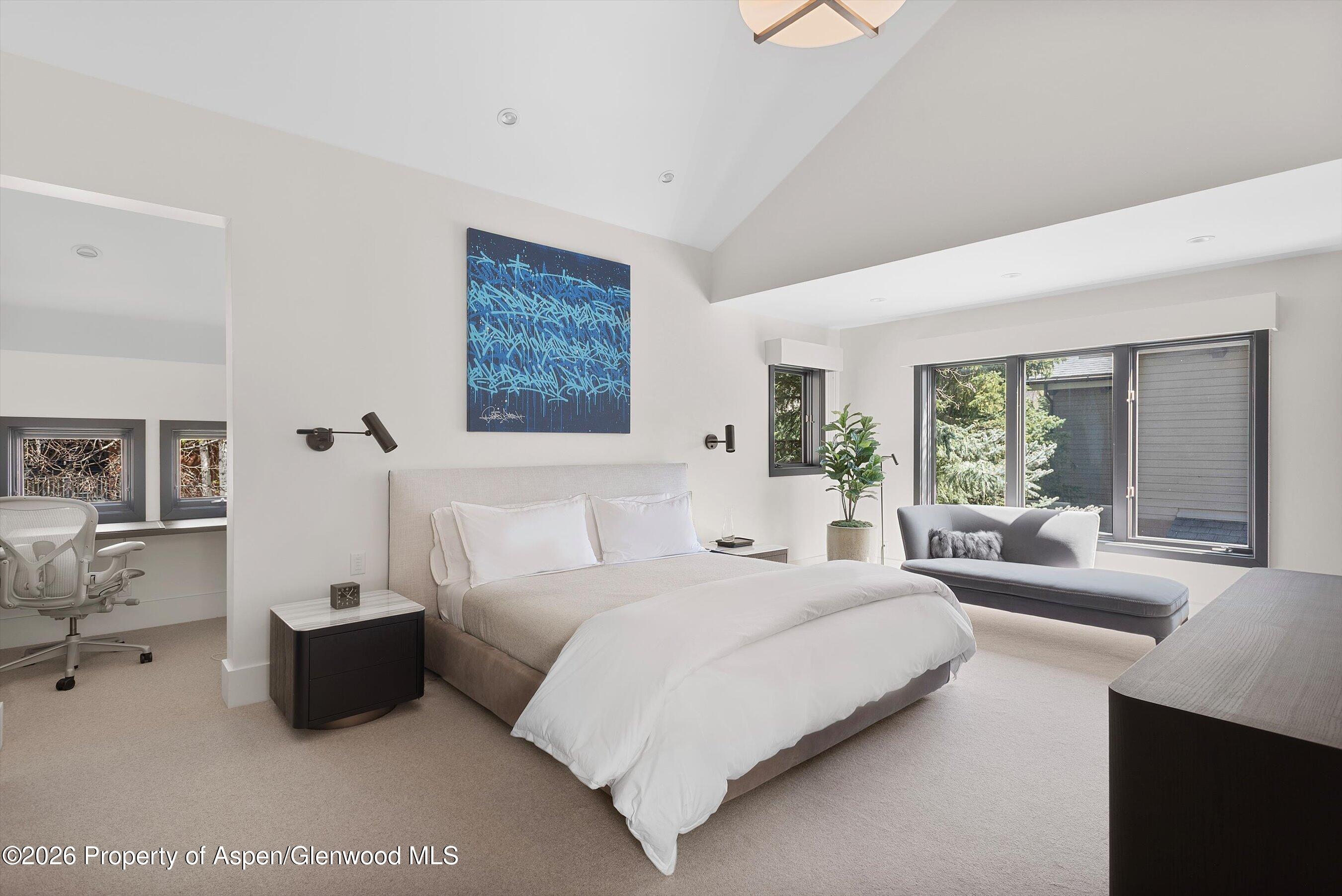 121 W Hyman Avenue Aspen CO 81611