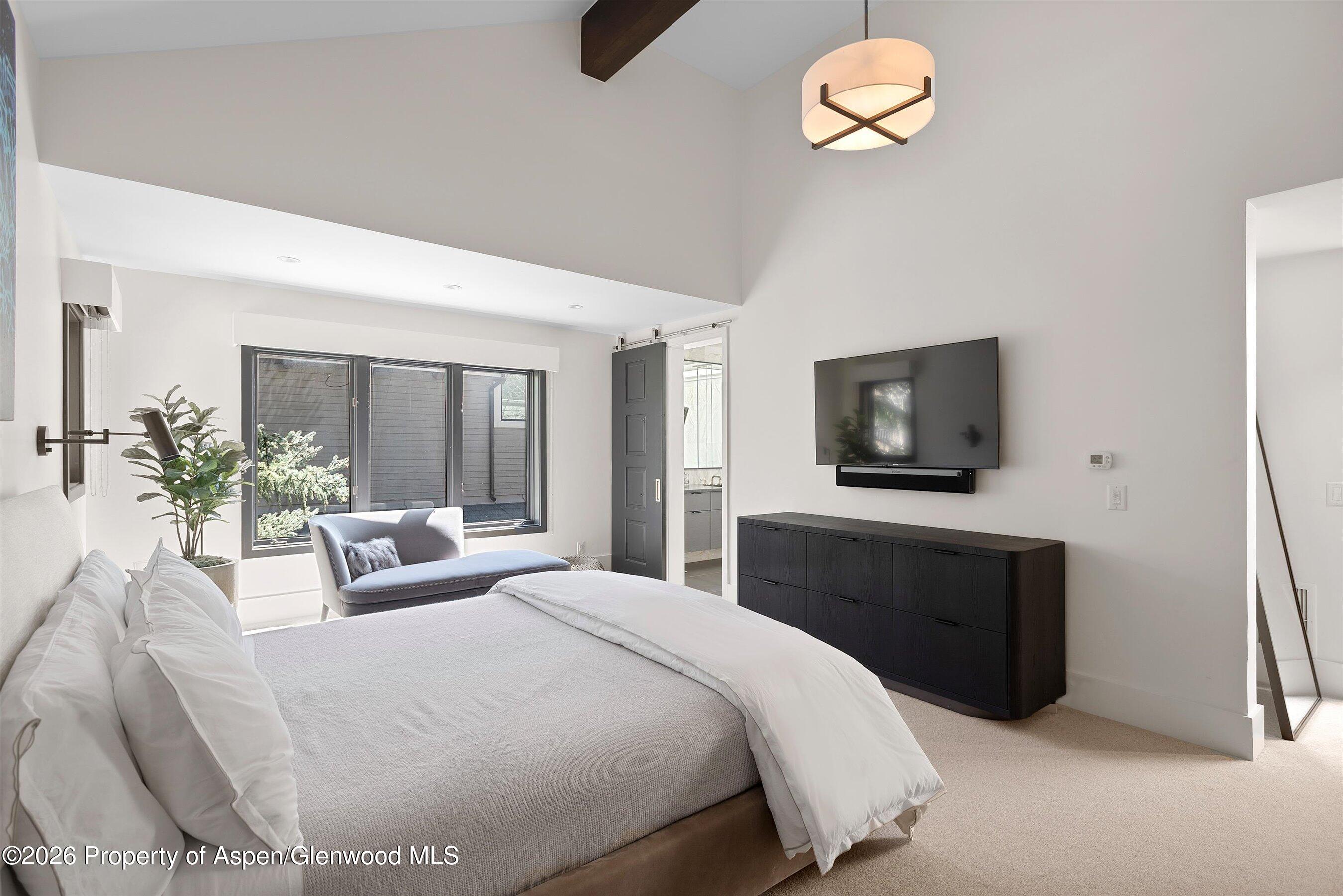 121 W Hyman Avenue Aspen CO 81611