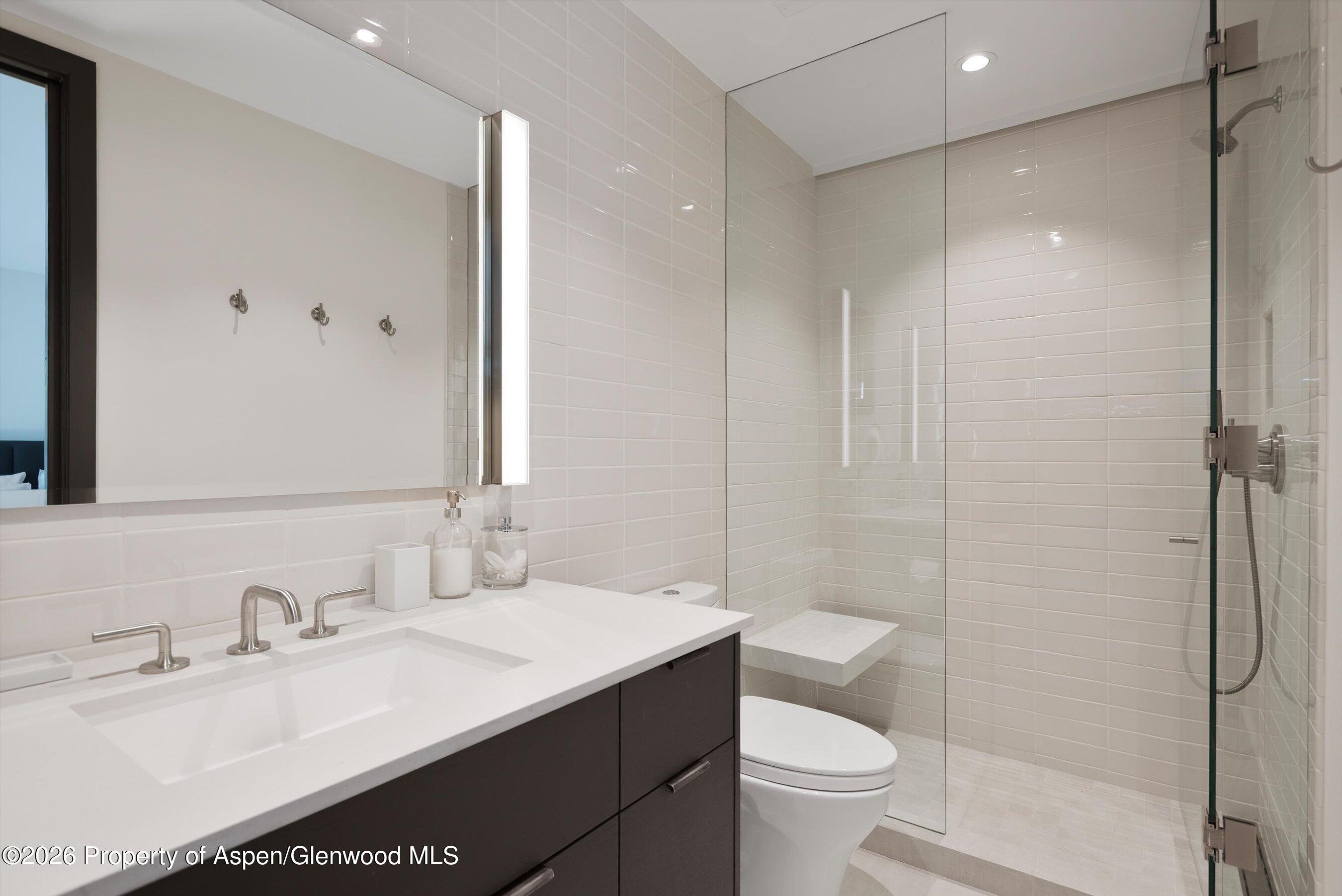 121 W Hyman Avenue Aspen CO 81611