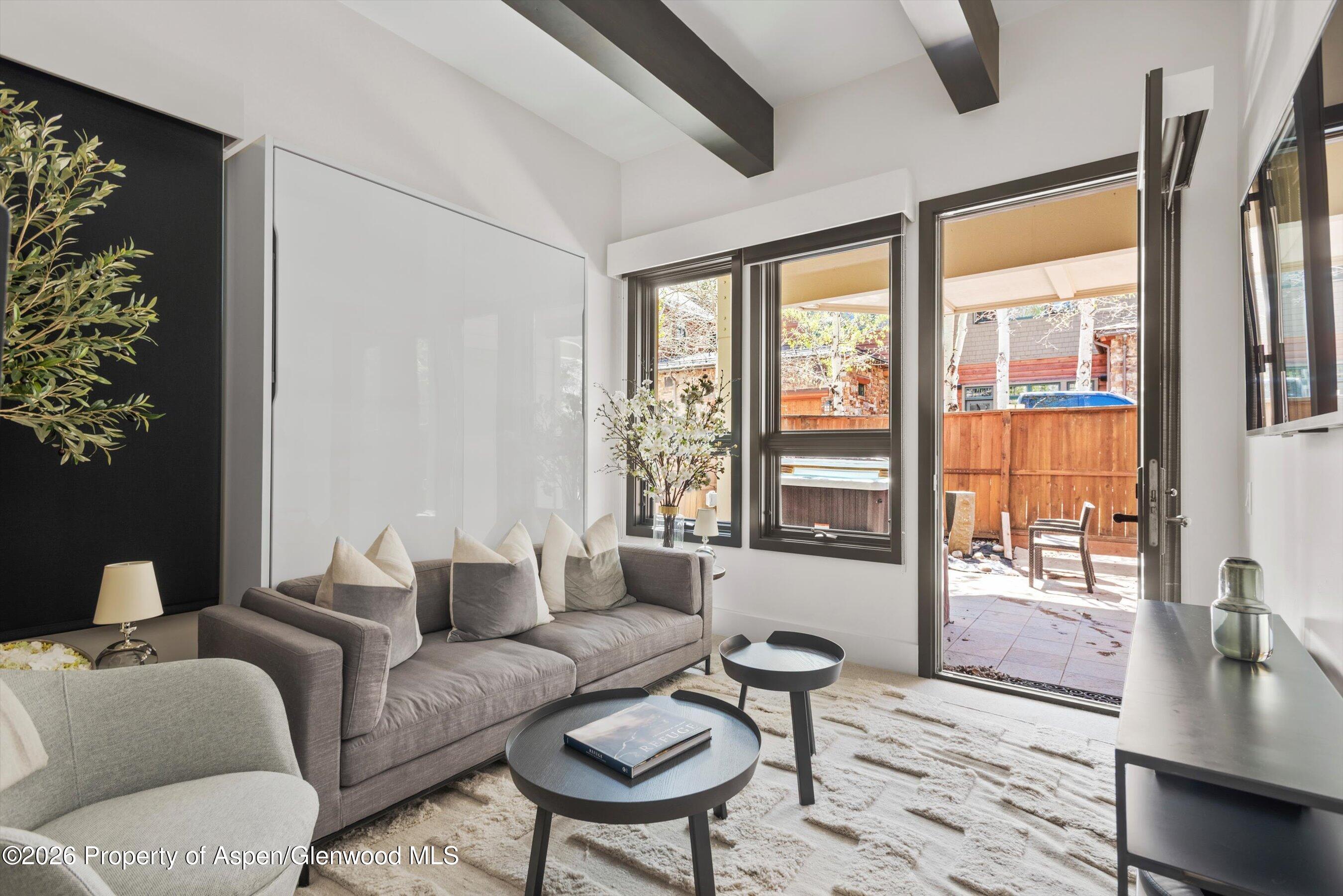 121 W Hyman Avenue Aspen CO 81611
