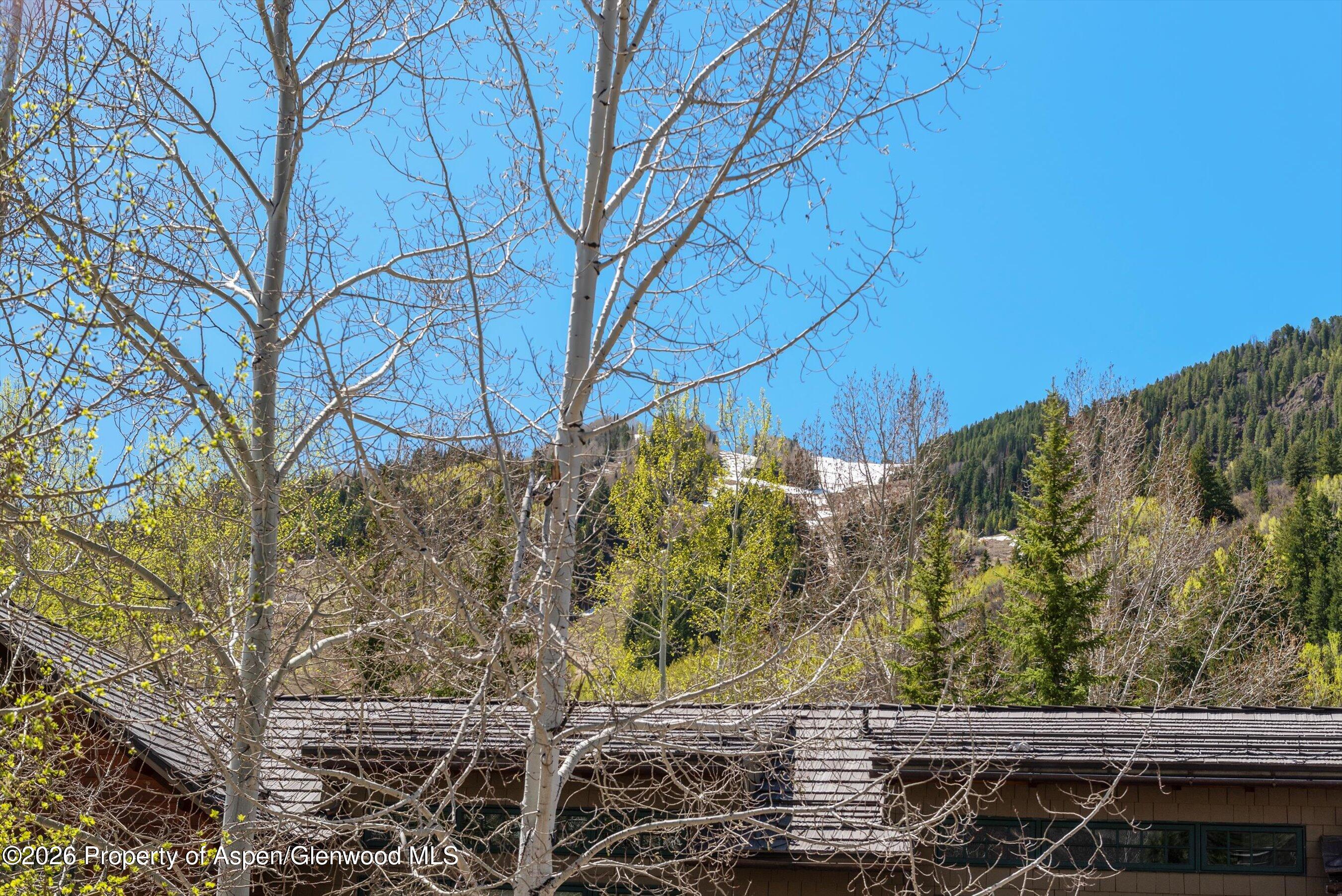 121 W Hyman Avenue Aspen CO 81611