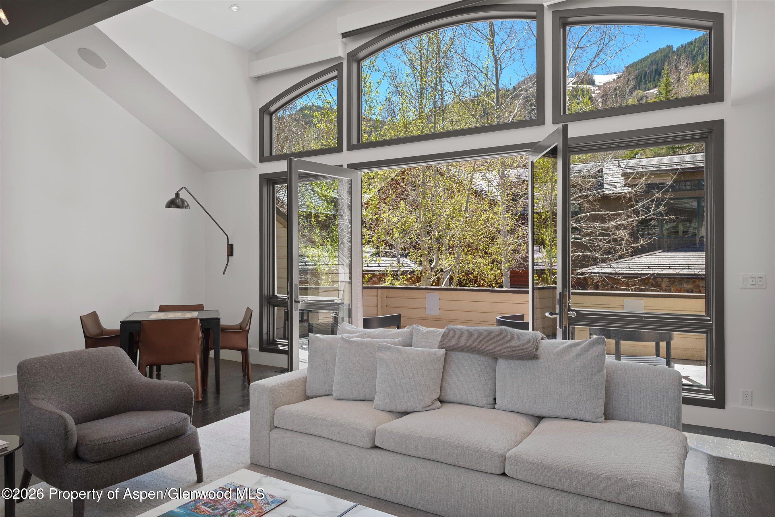 121 W Hyman Avenue Aspen CO 81611