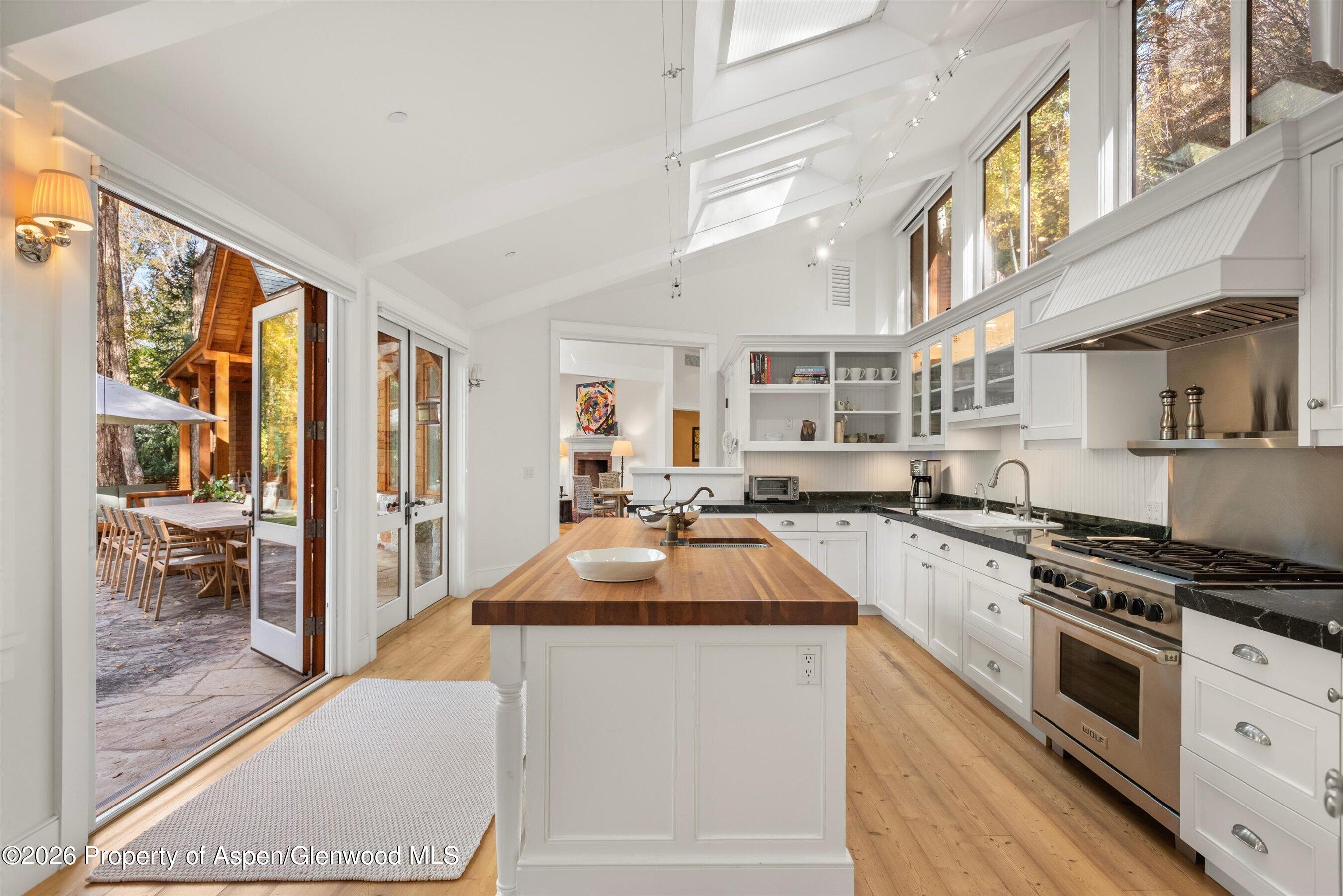 728 E Francis Street Aspen CO 81611