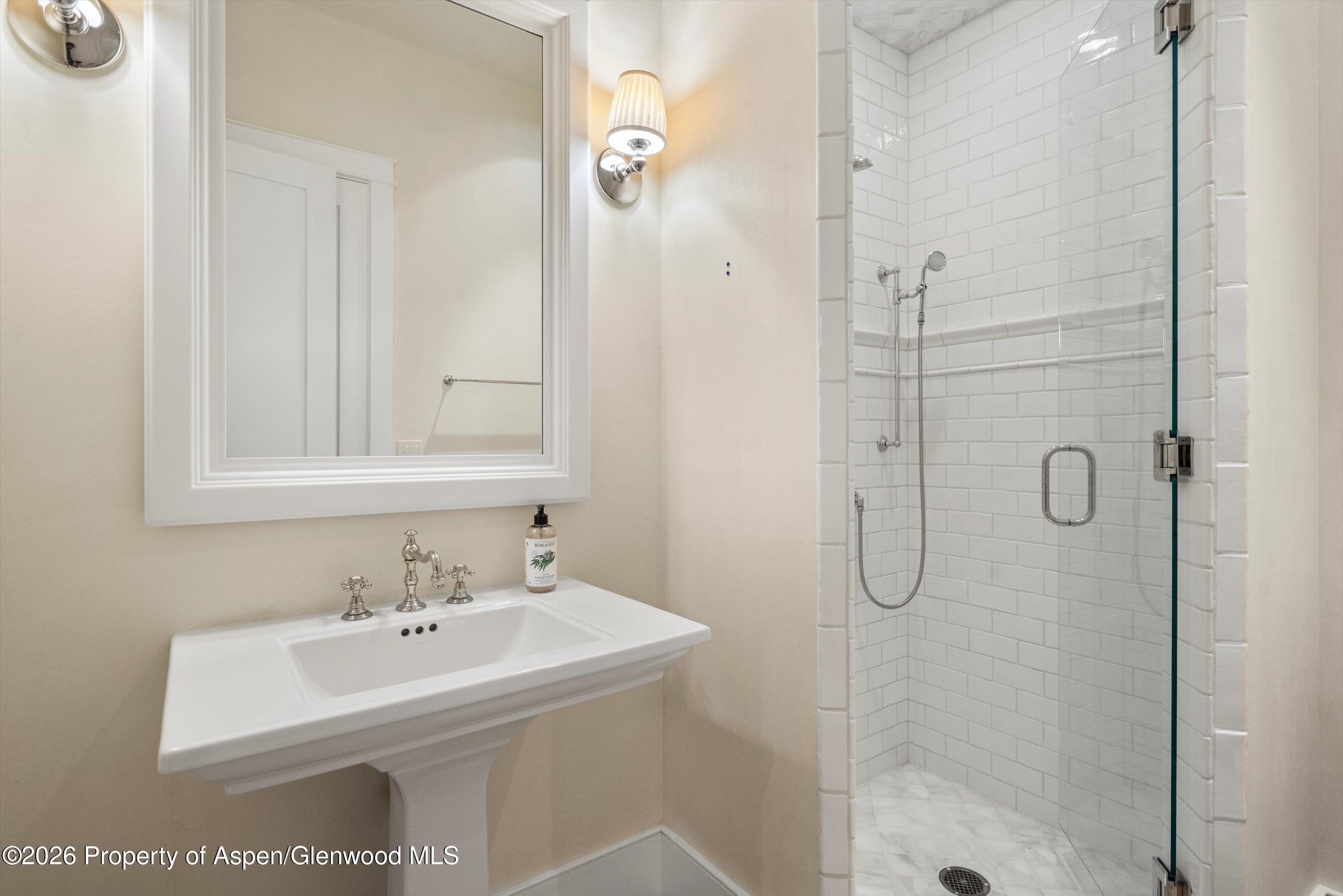 728 E Francis Street Aspen CO 81611