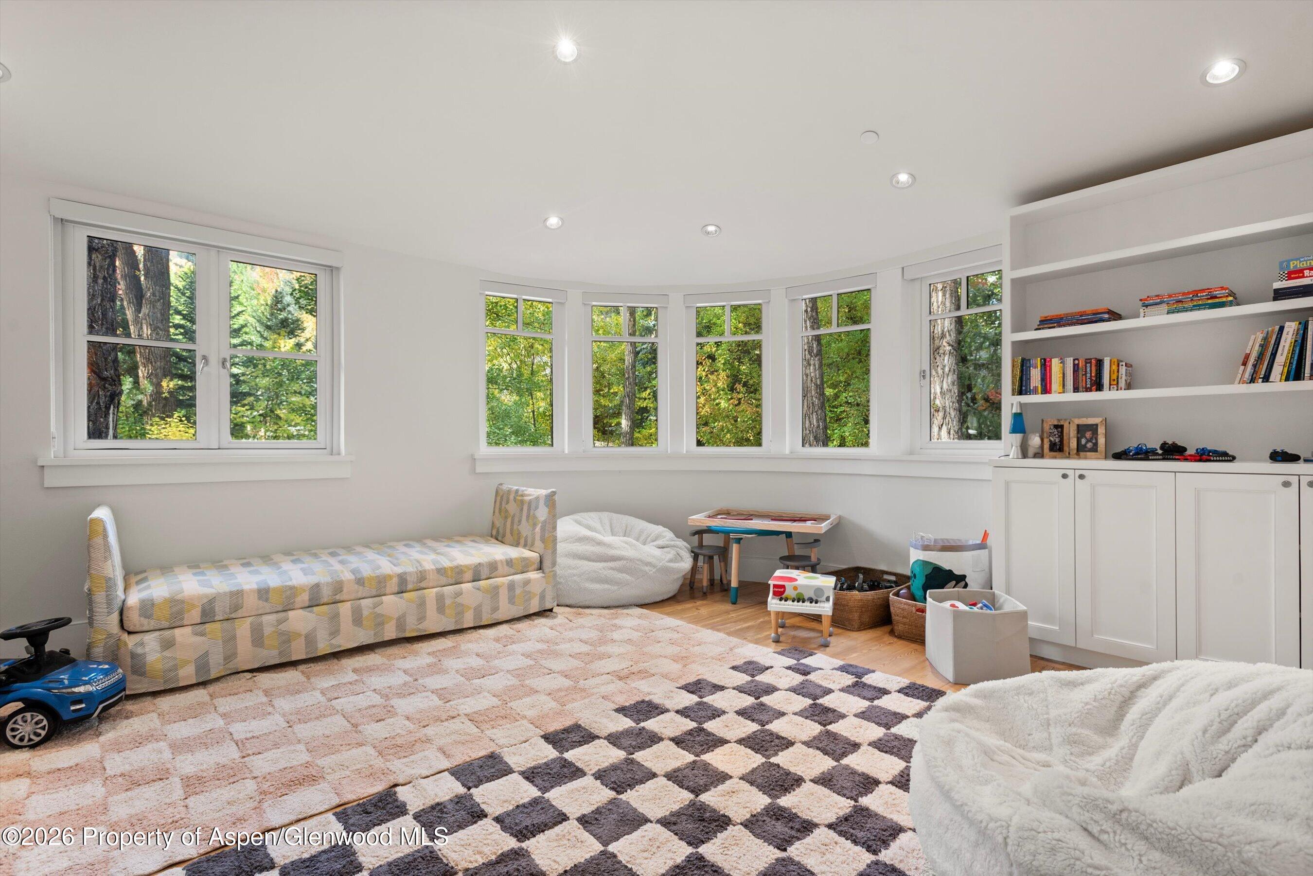 728 E Francis Street Aspen CO 81611