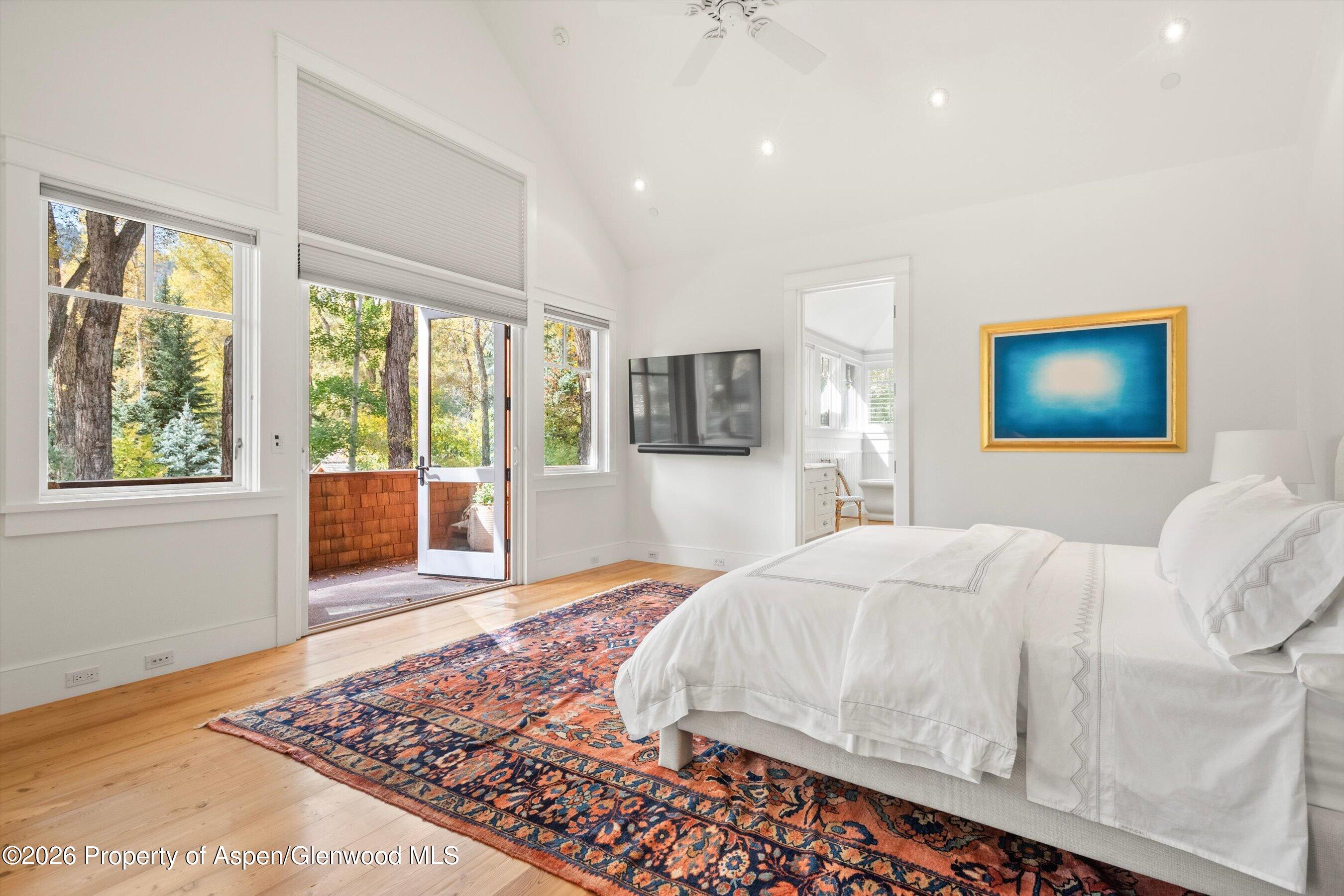 728 E Francis Street Aspen CO 81611