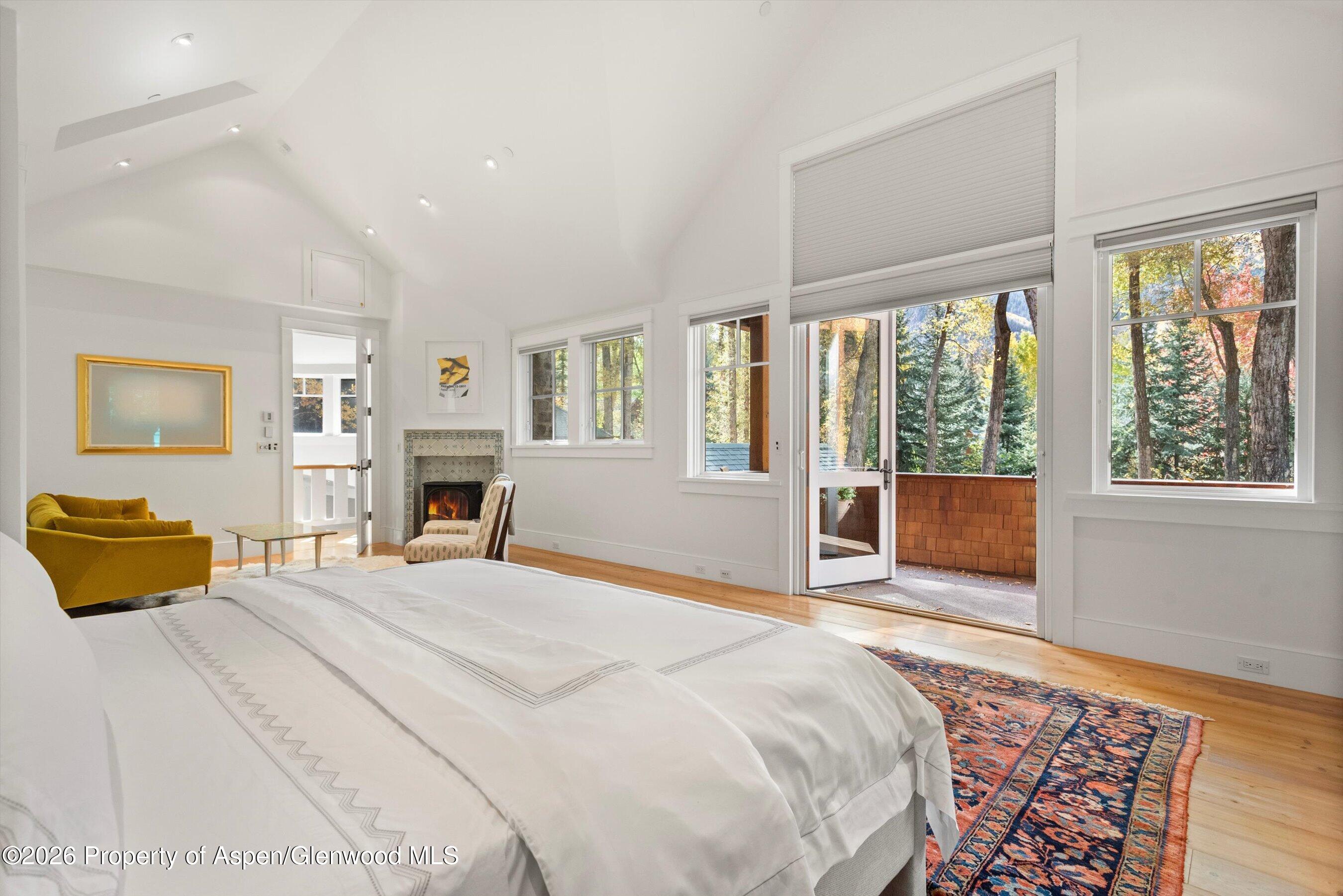 728 E Francis Street Aspen CO 81611