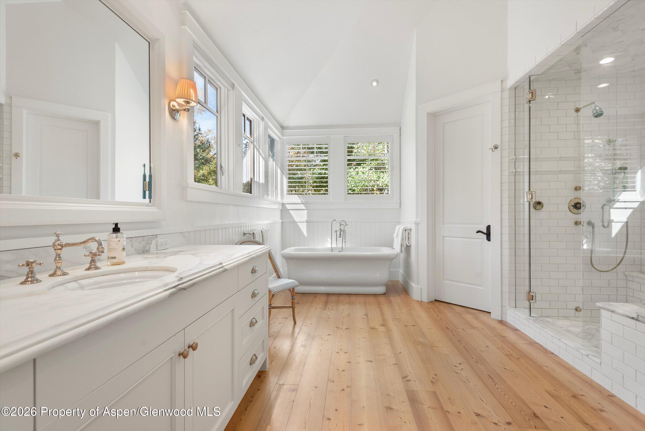 728 E Francis Street Aspen CO 81611