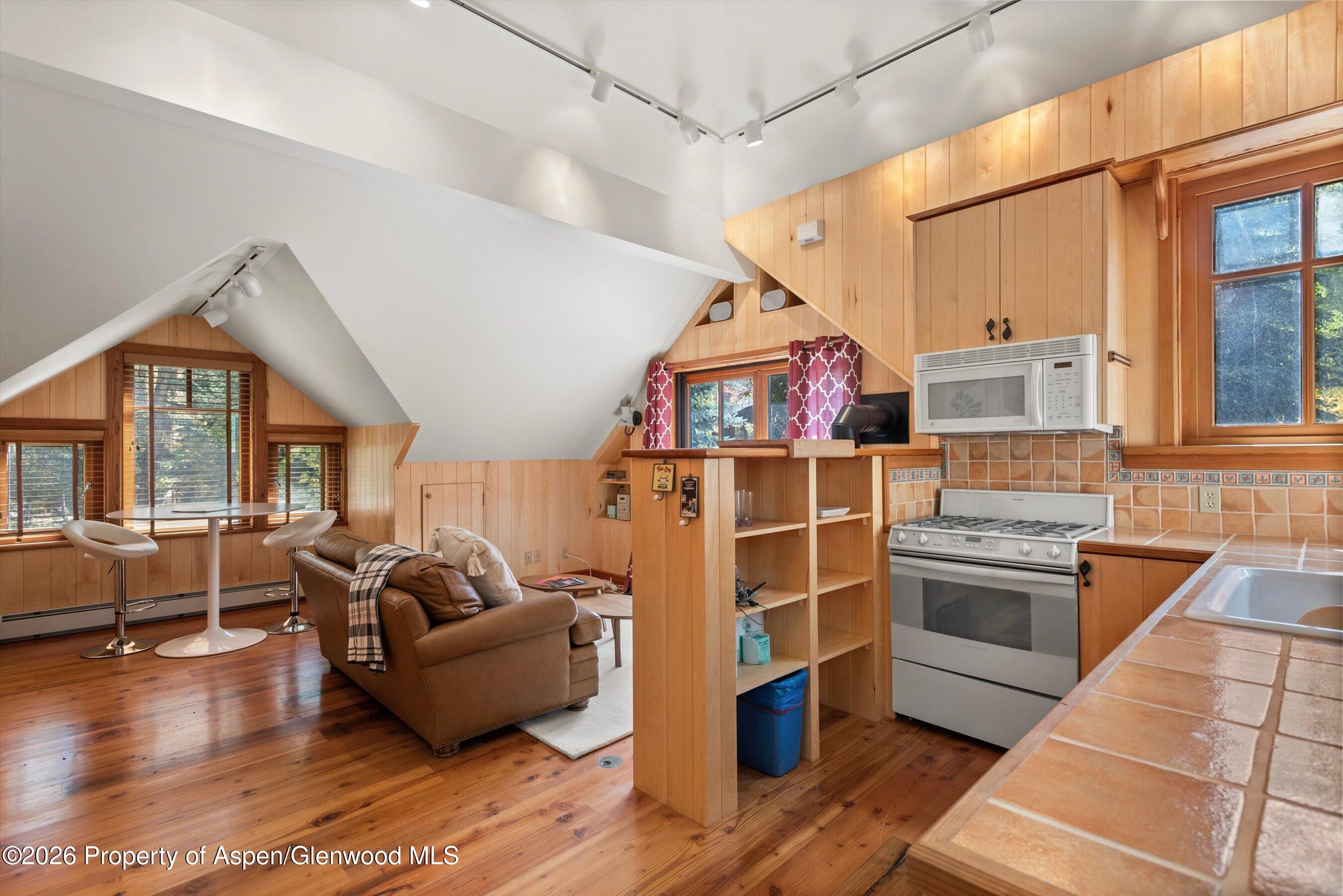 728 E Francis Street Aspen CO 81611