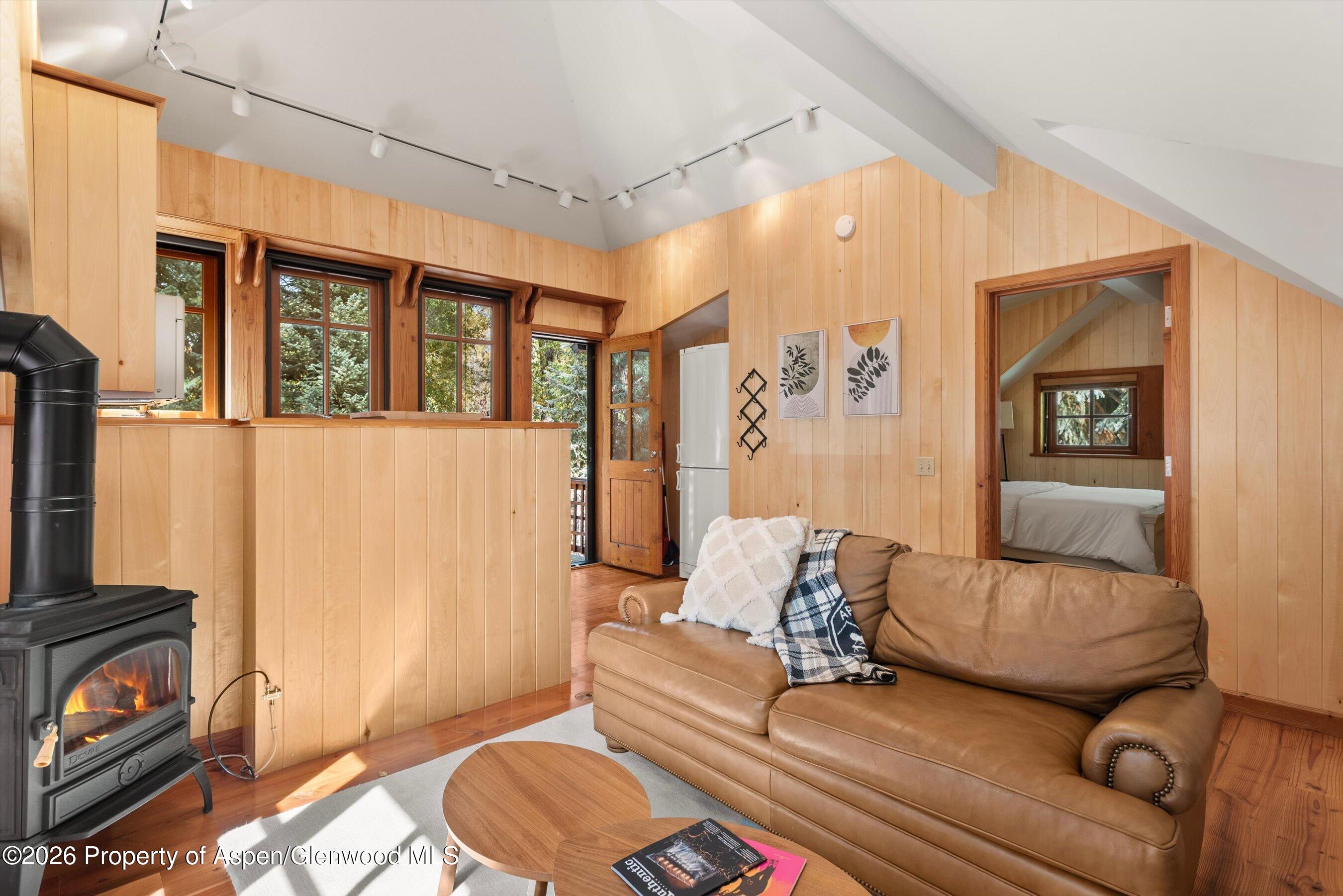 728 E Francis Street Aspen CO 81611