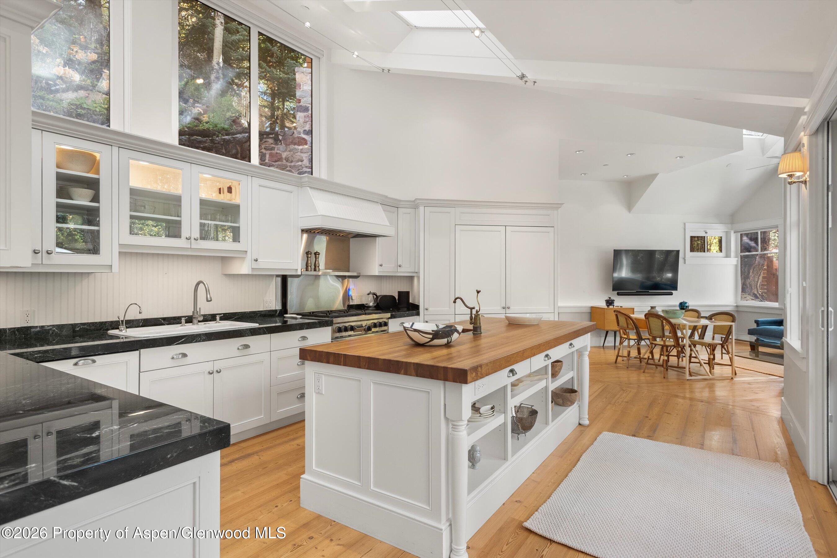728 E Francis Street Aspen CO 81611