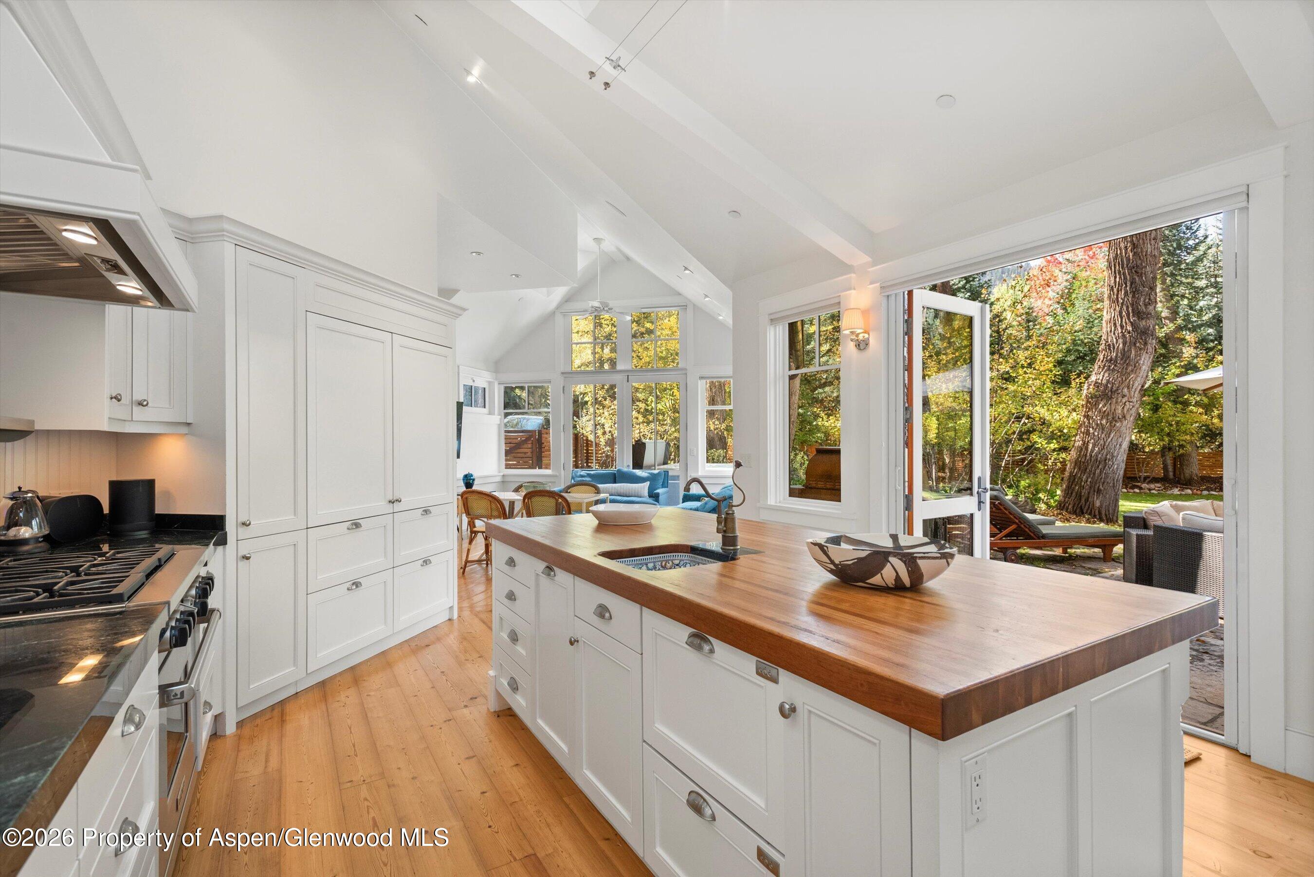 728 E Francis Street Aspen CO 81611