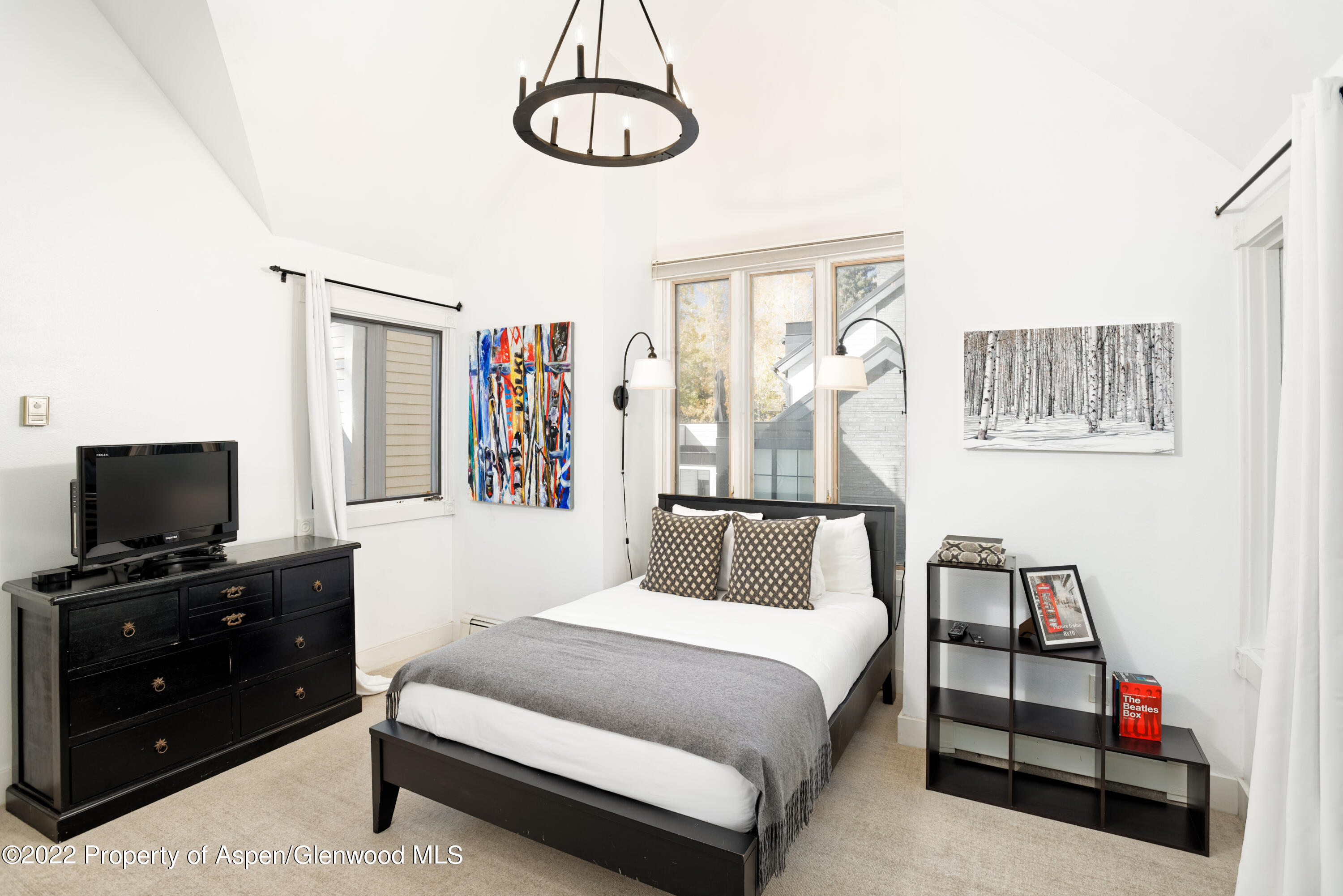 401 W Bleeker Street Aspen CO 81611