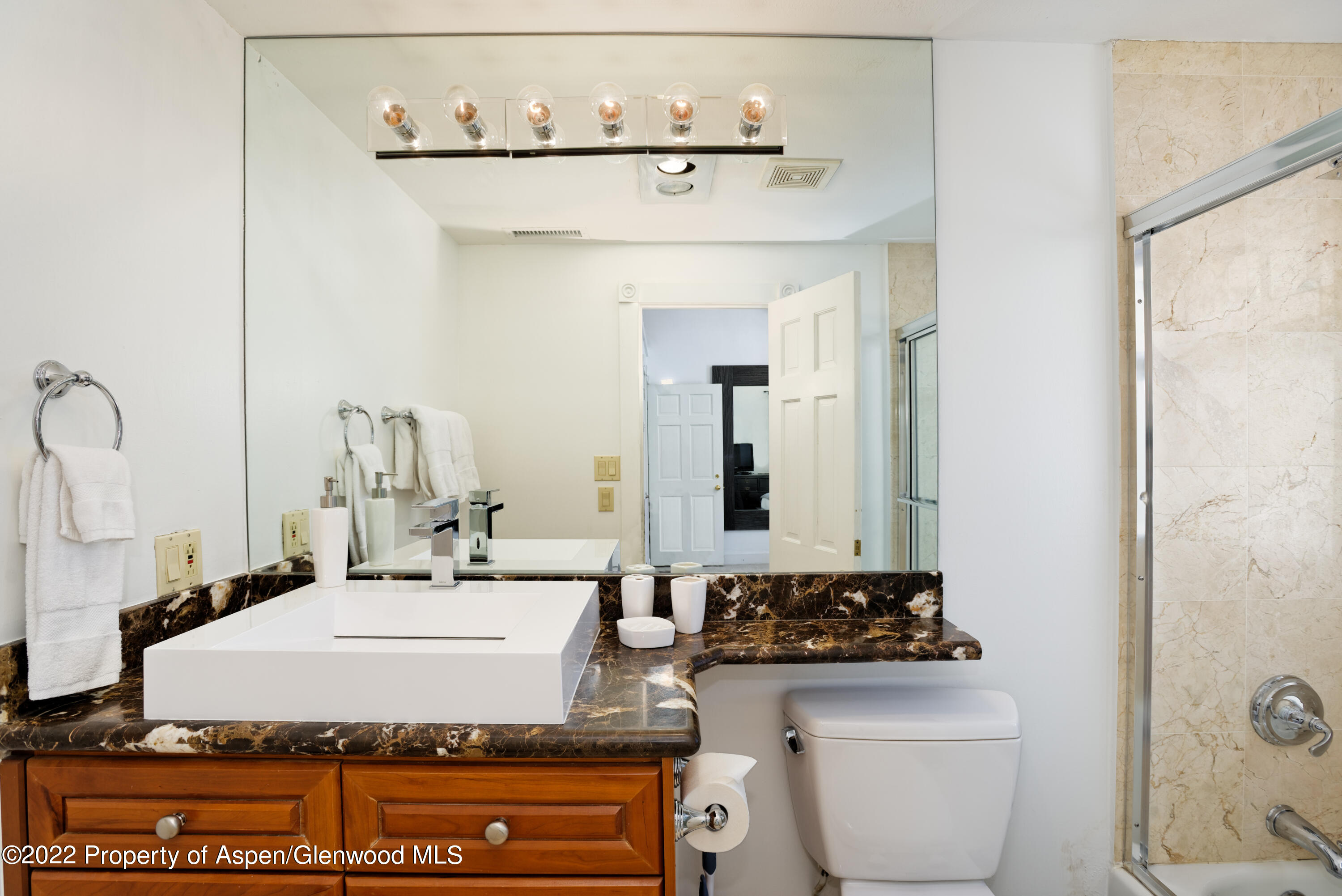 401 W Bleeker Street Aspen CO 81611