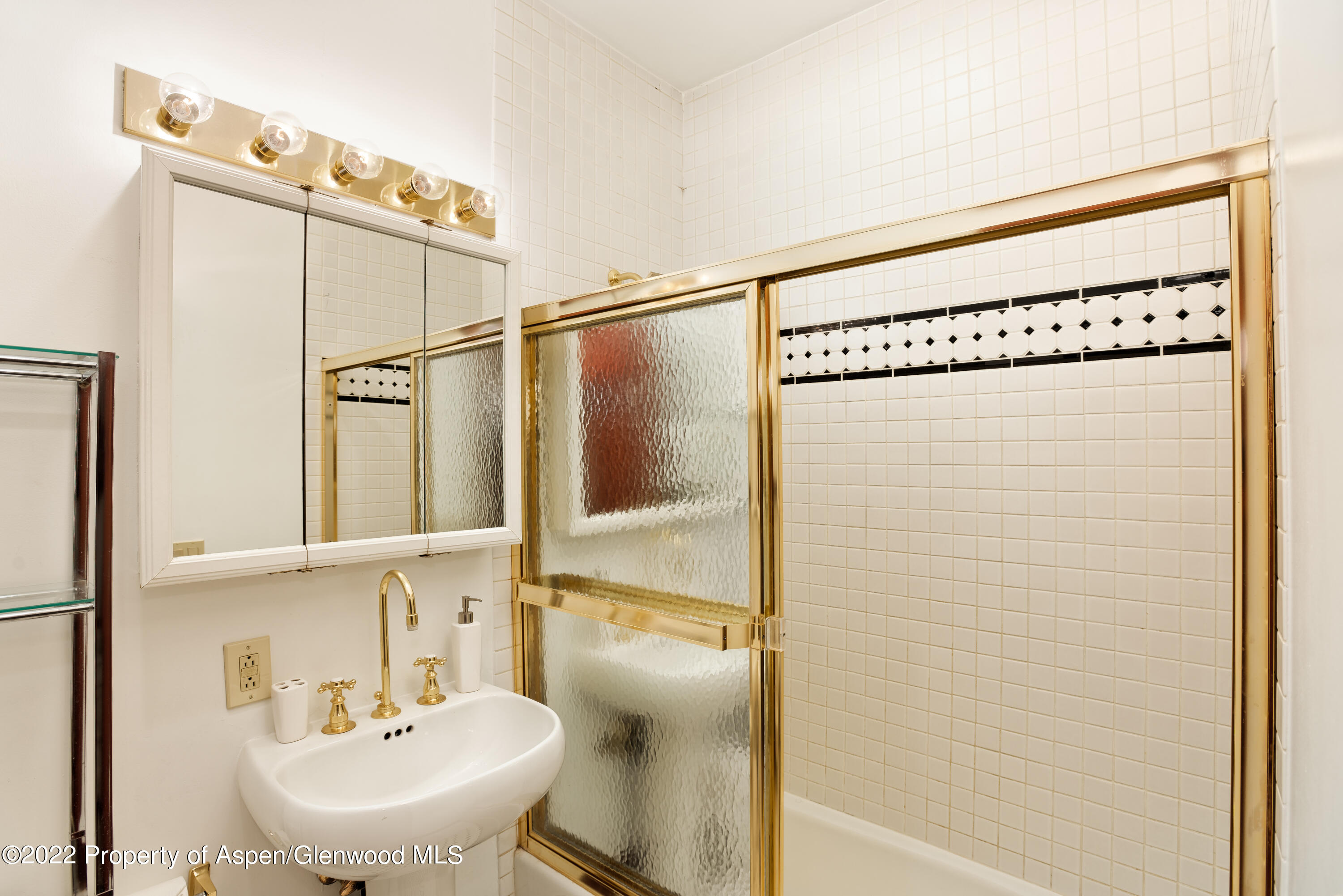 401 W Bleeker Street Aspen CO 81611