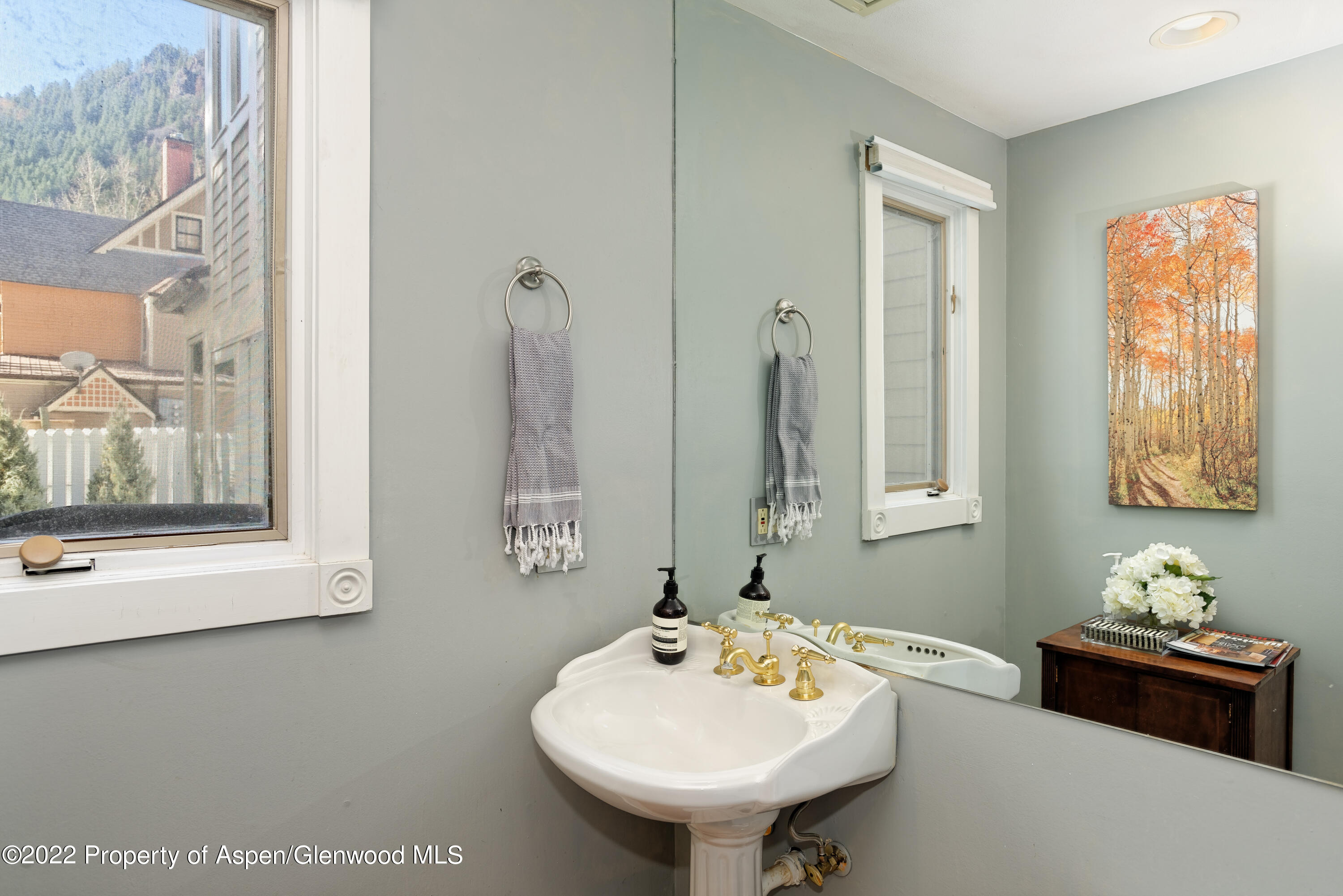 401 W Bleeker Street Aspen CO 81611