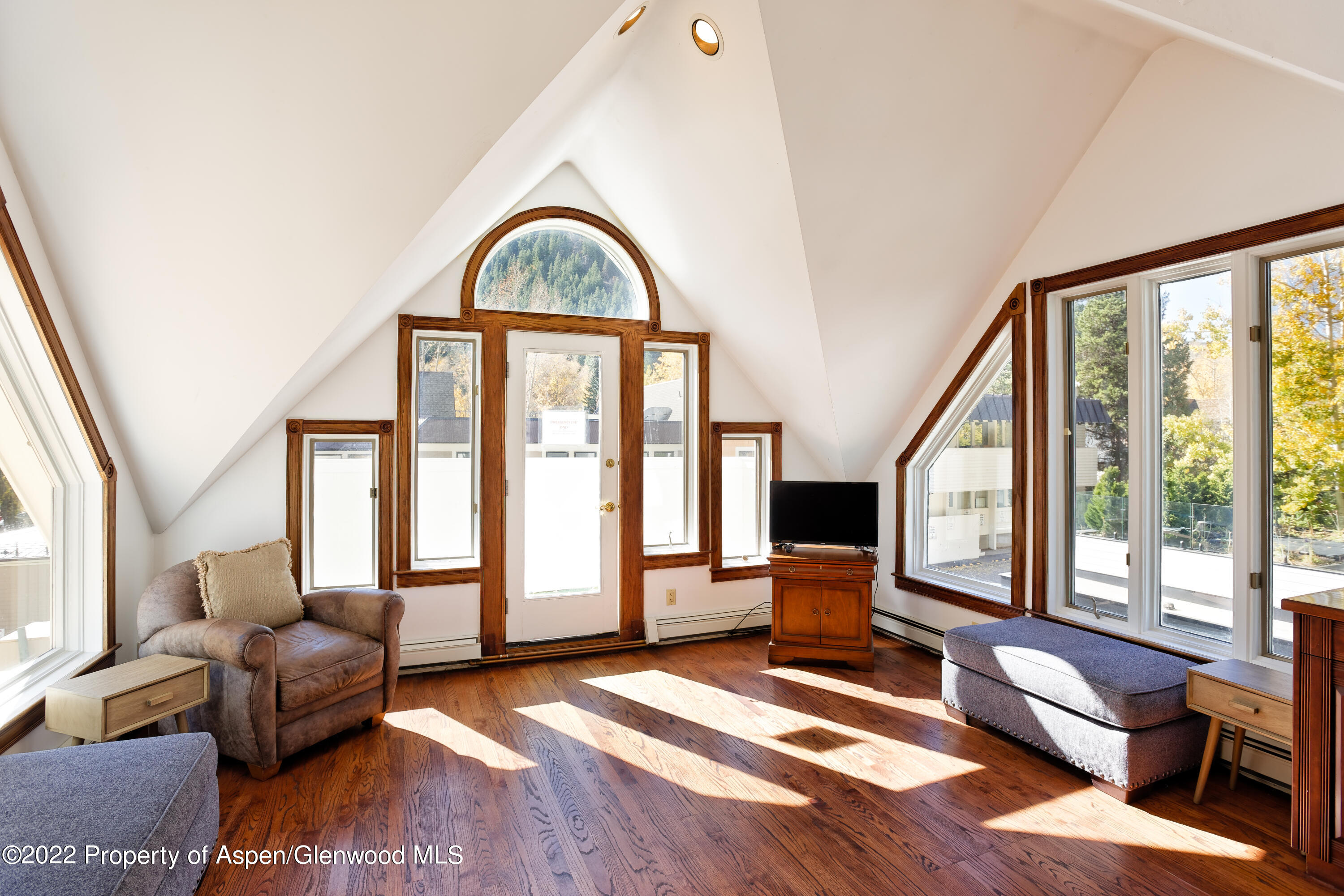 401 W Bleeker Street Aspen CO 81611