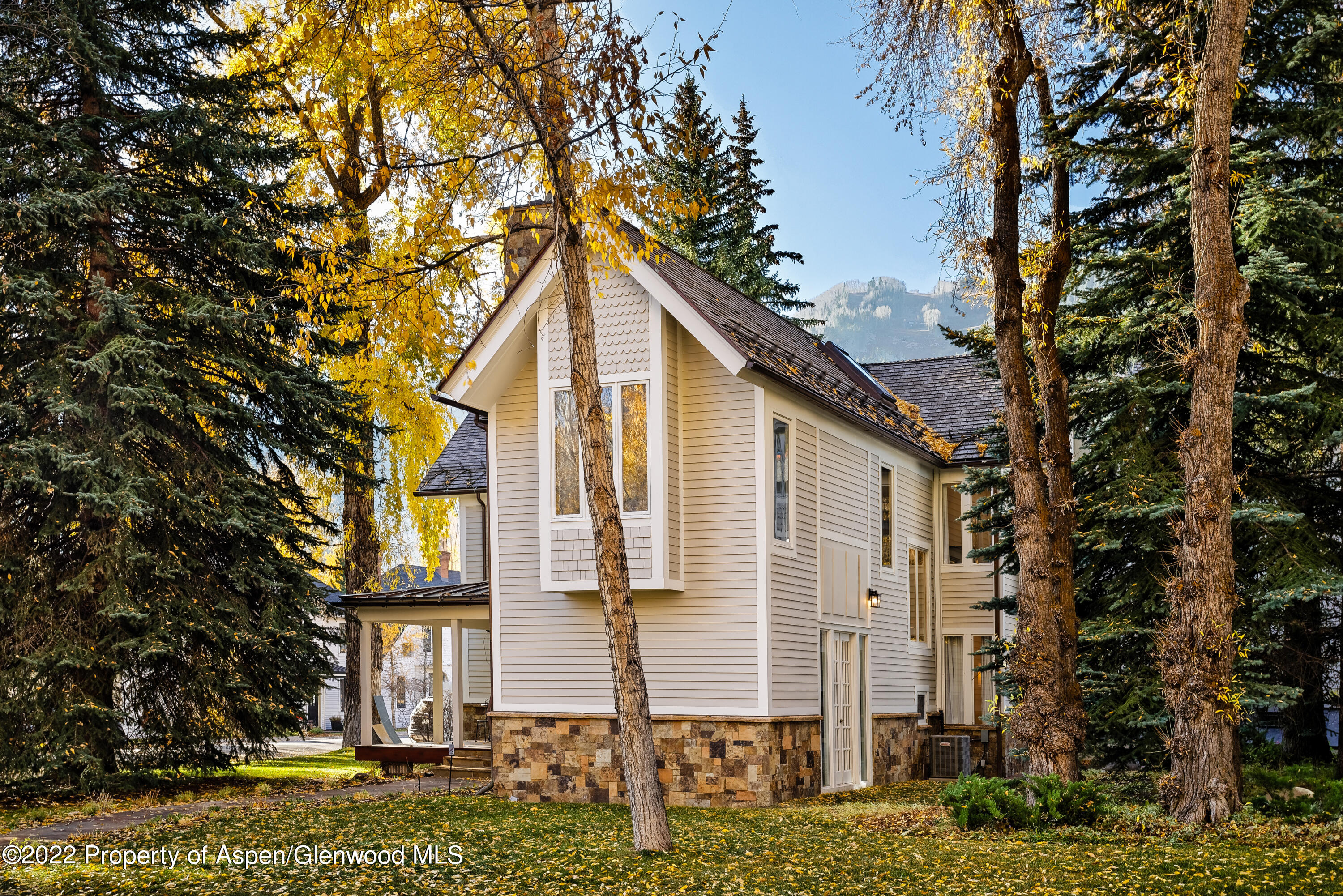 401 W Bleeker Street Aspen CO 81611