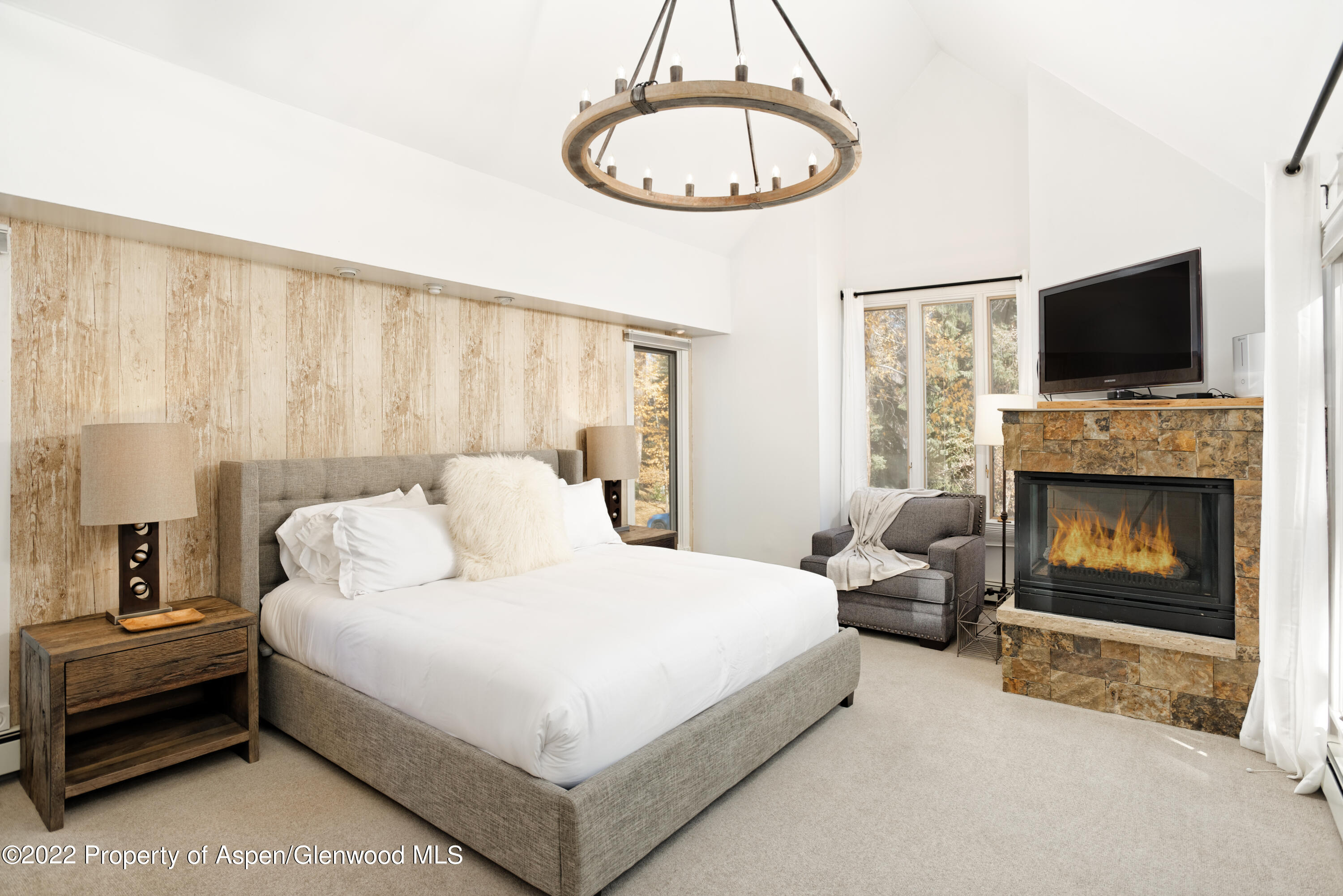 401 W Bleeker Street Aspen CO 81611