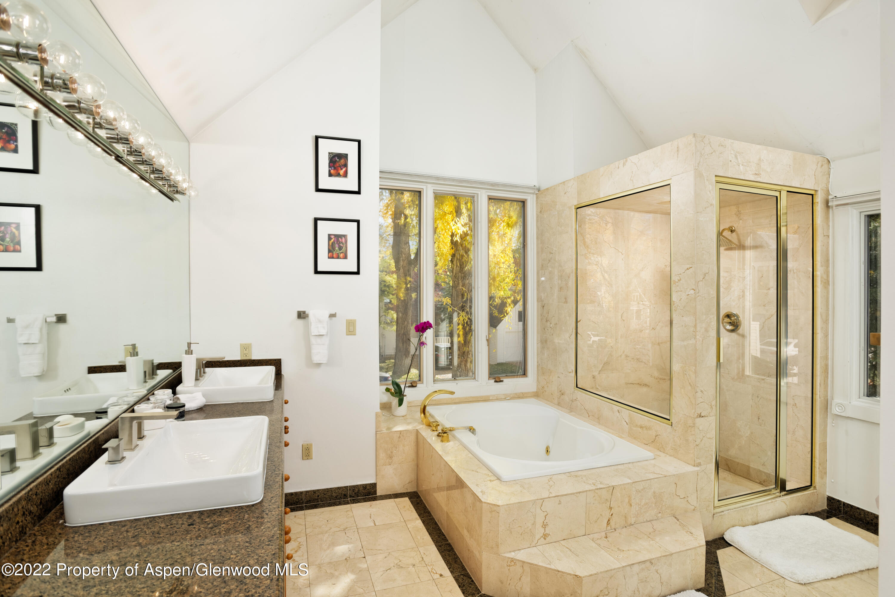 401 W Bleeker Street Aspen CO 81611