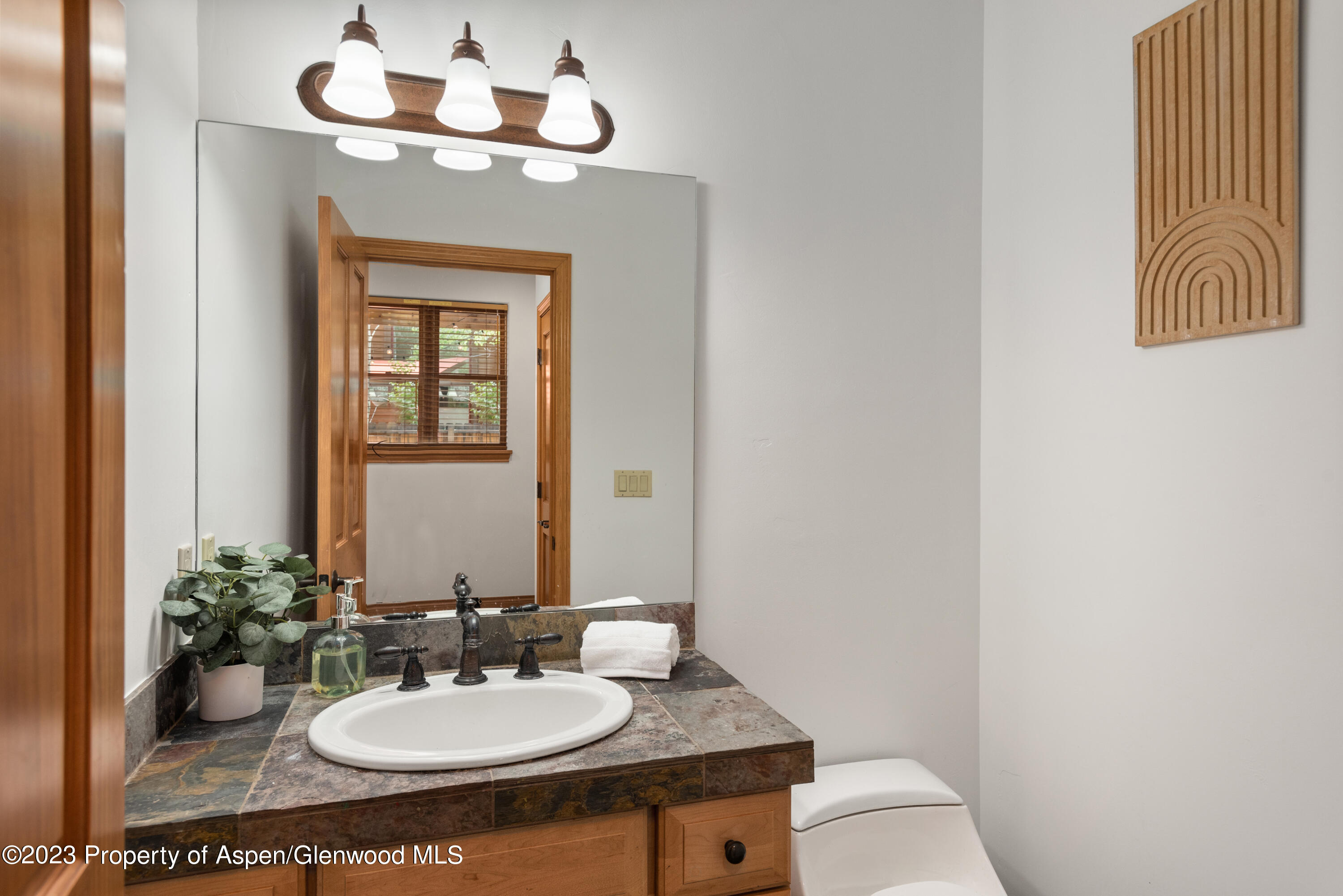 316 Allison Lane Basalt CO 81621